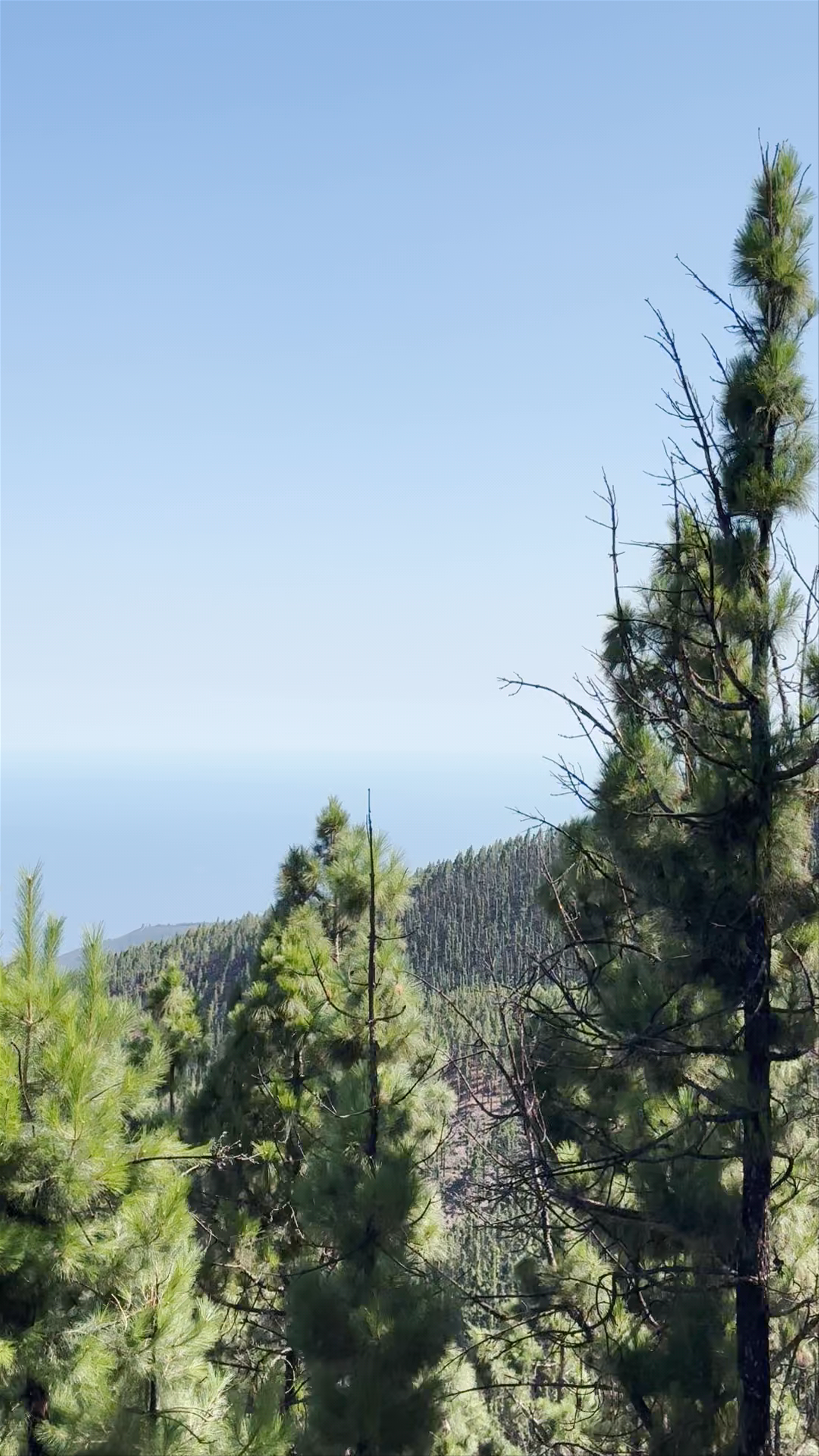 Mirador de Chimague