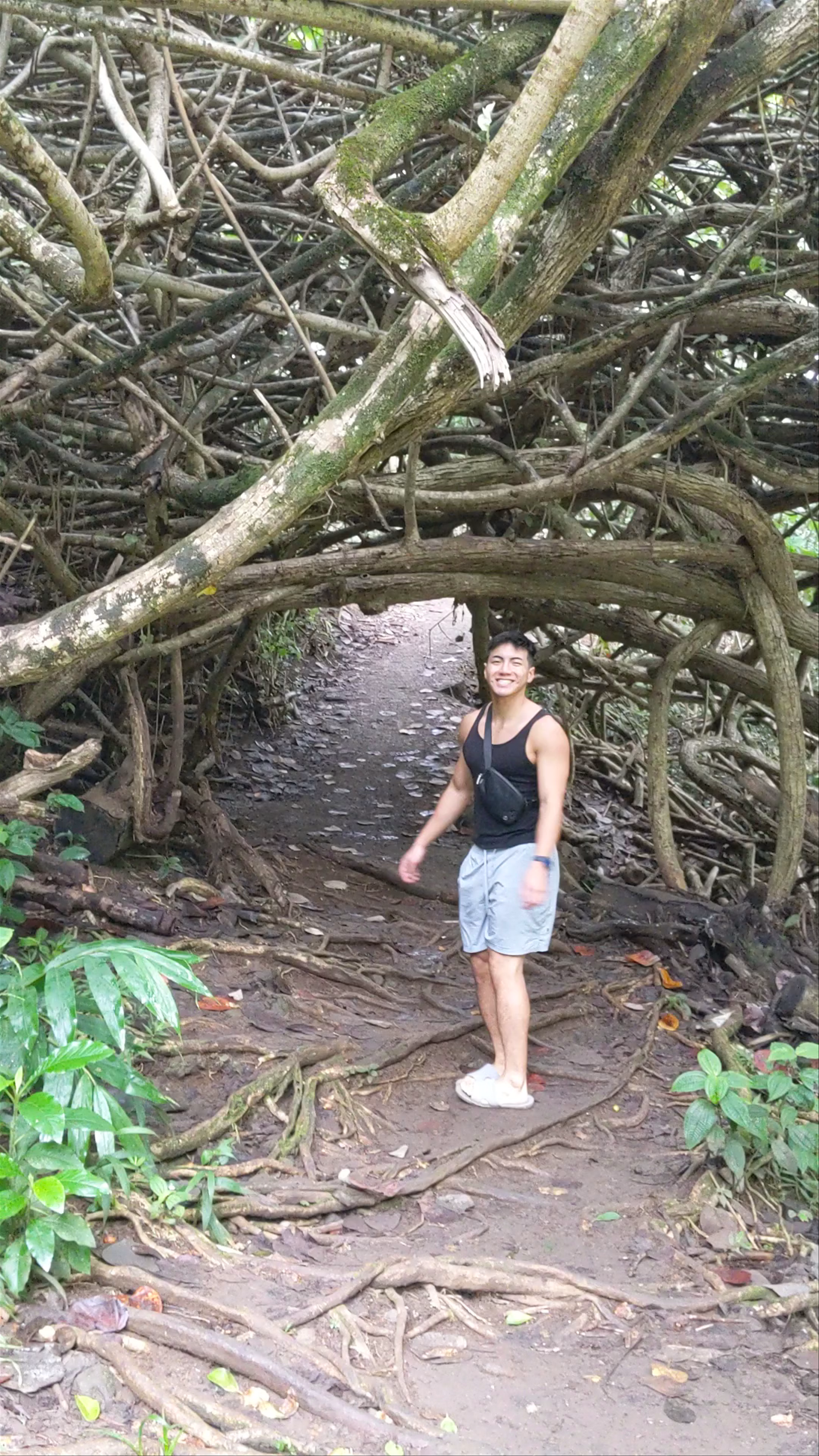 Twin Falls Maui Waterfall