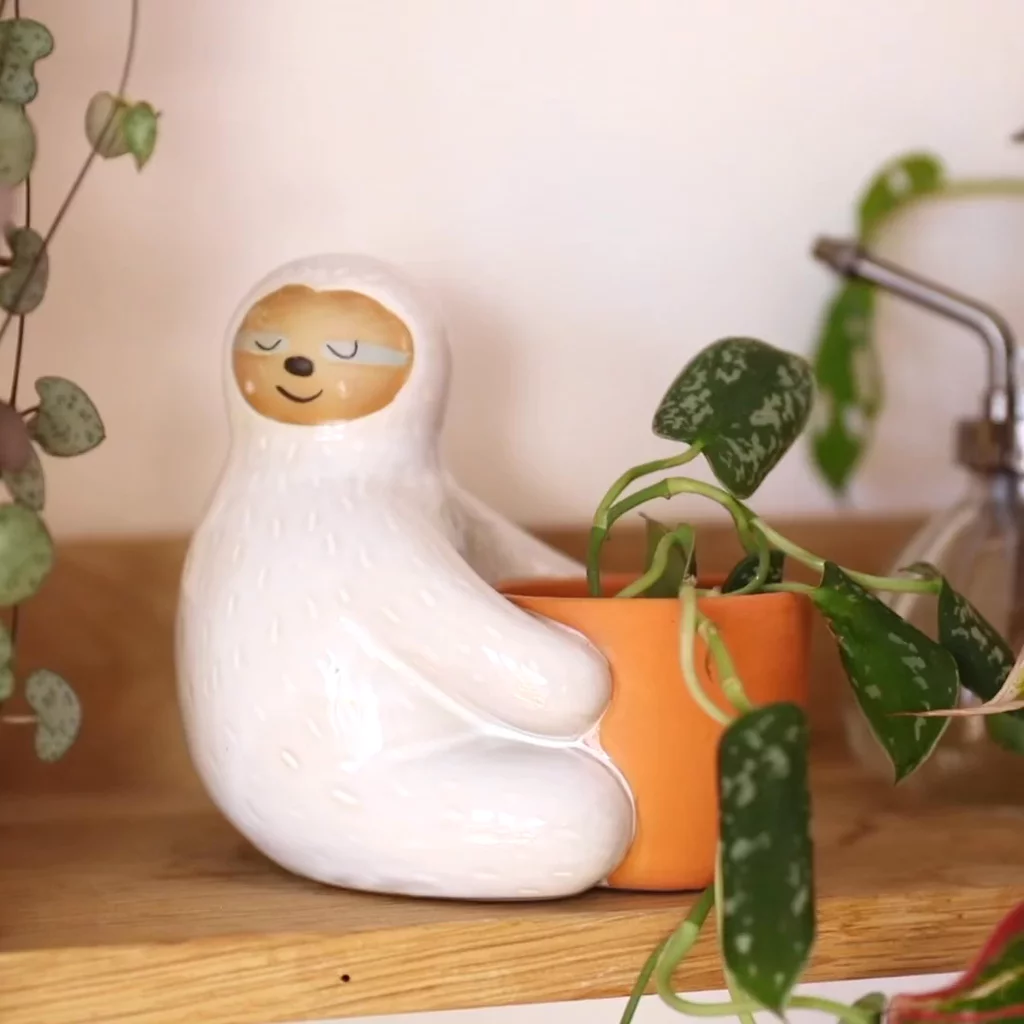 Product video