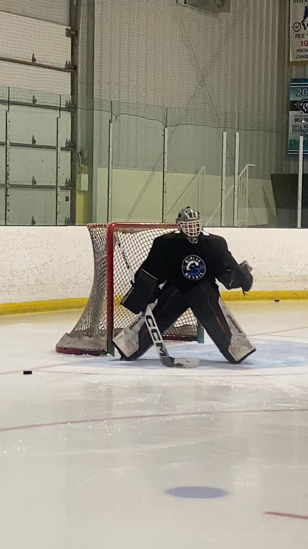 Riley Vyse: Training Highlights for Jr. Hockey Aspirations