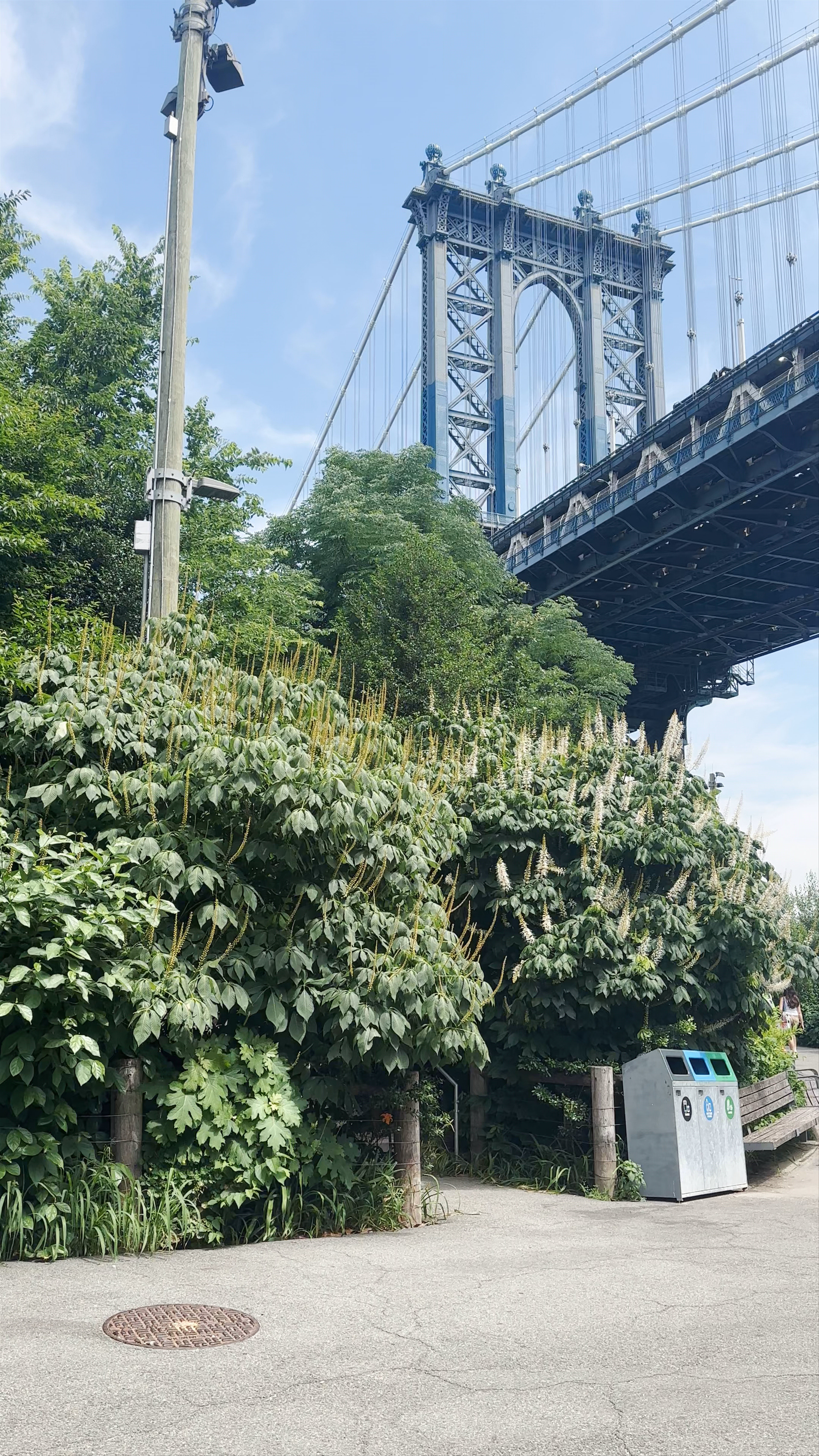 Manhattan Bridge