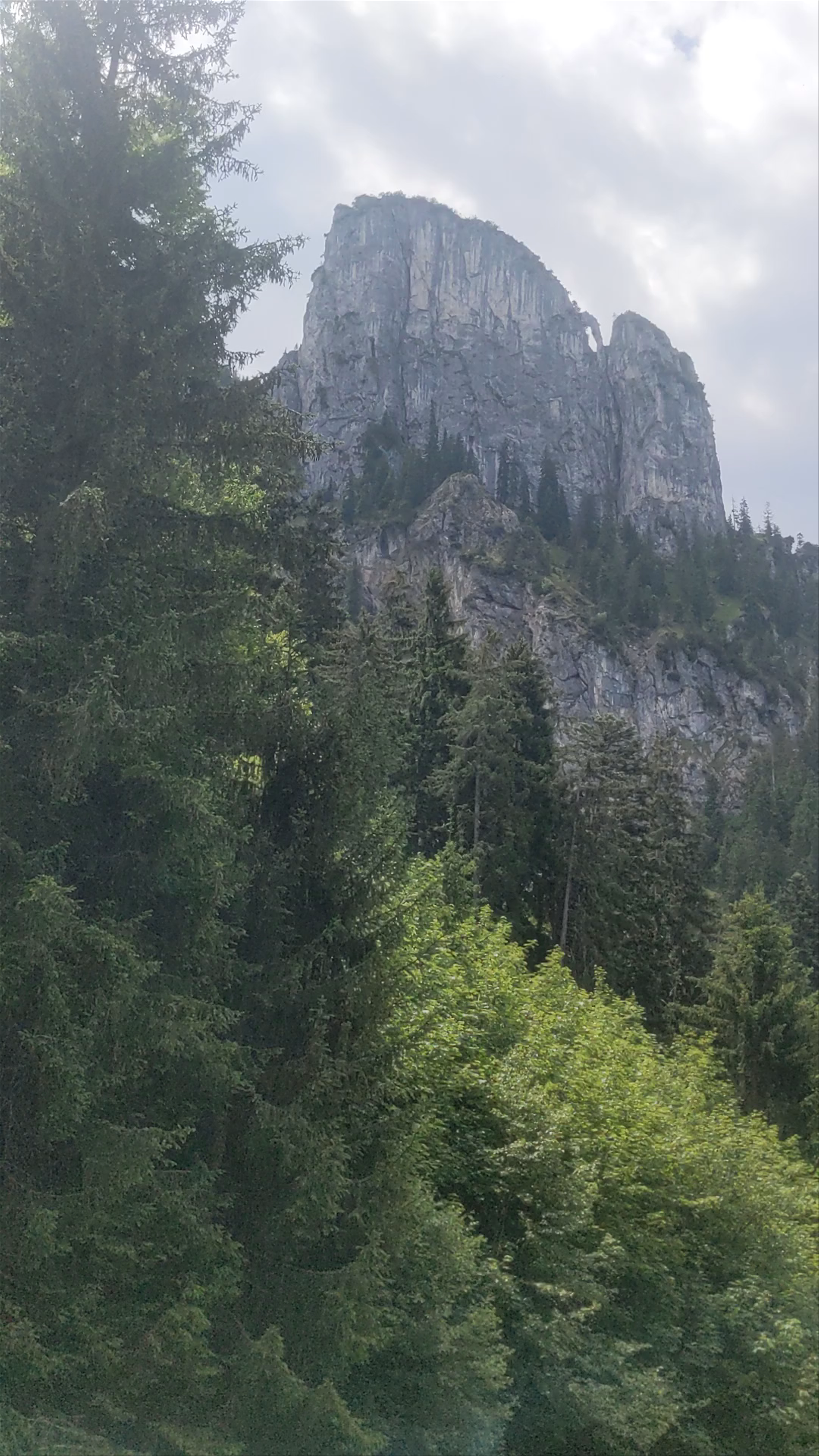 Täfelessattel Scenic Mountain Views in Schwangau, Germany