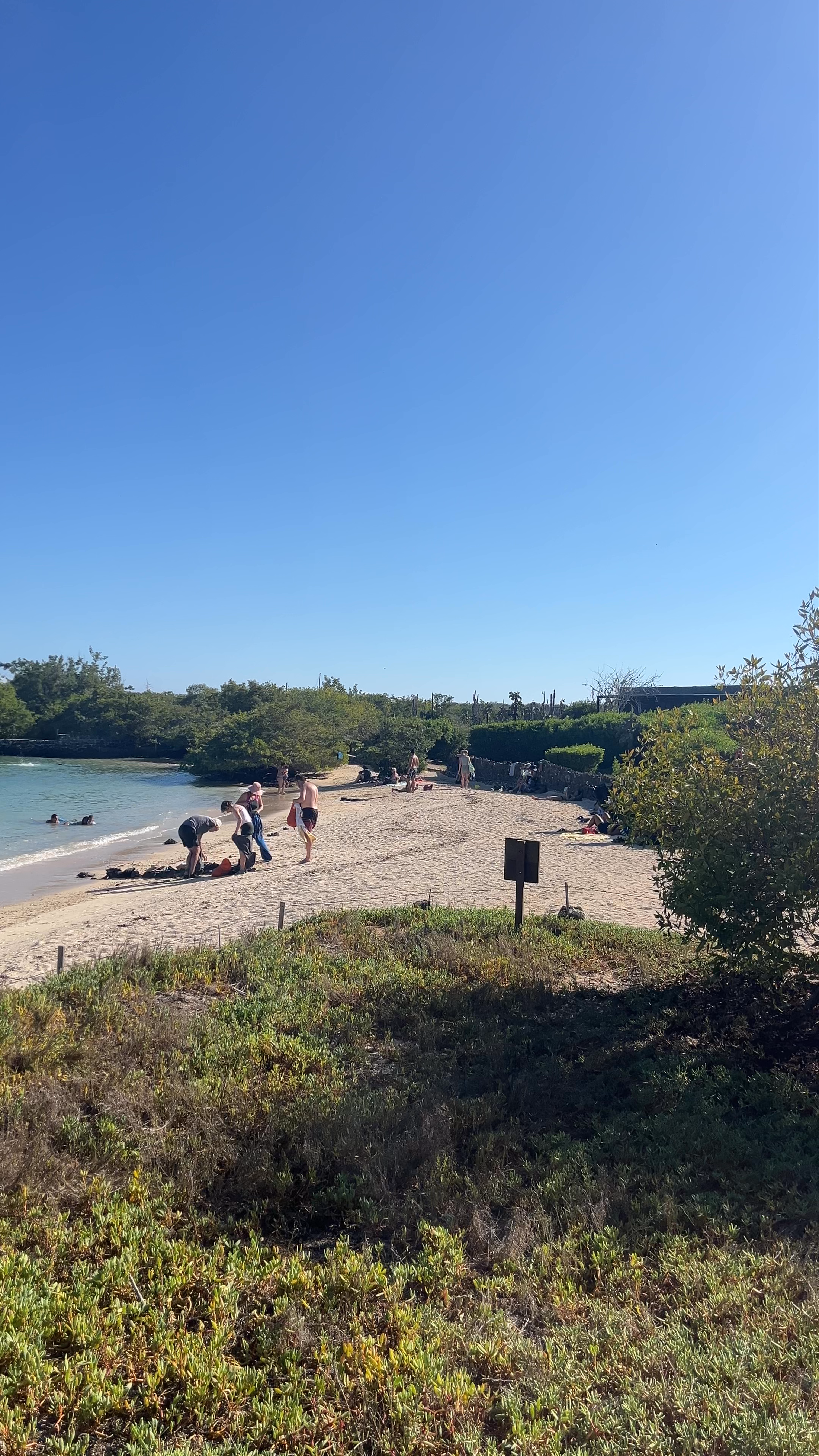 Playa los alemanes
