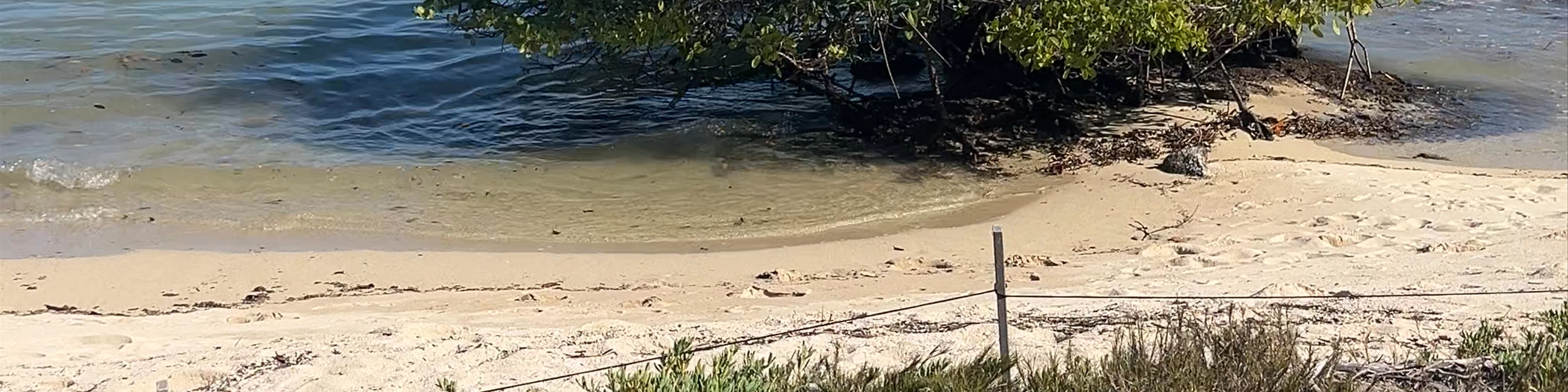 Playa los alemanes
