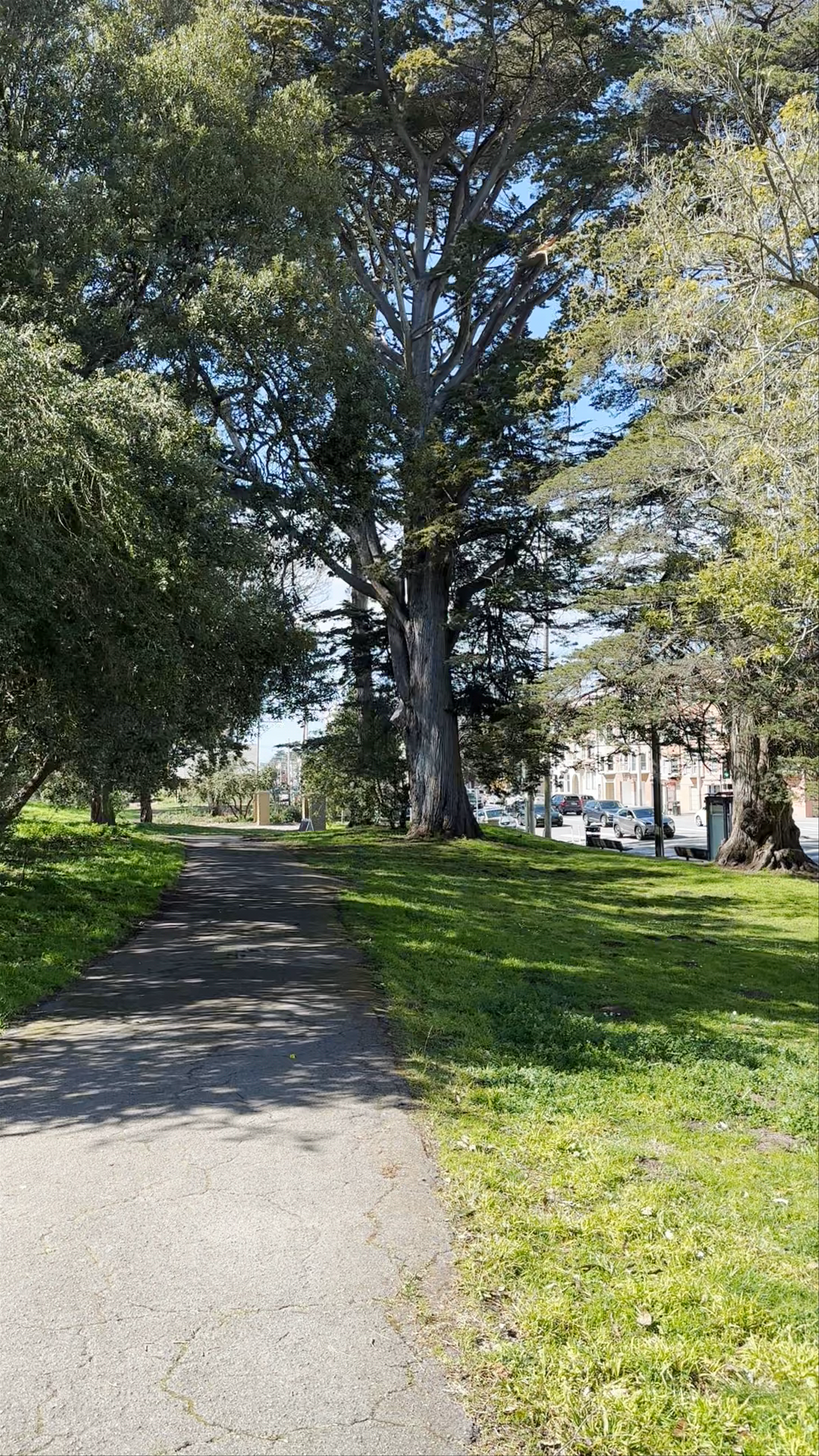 Golden Gate Park