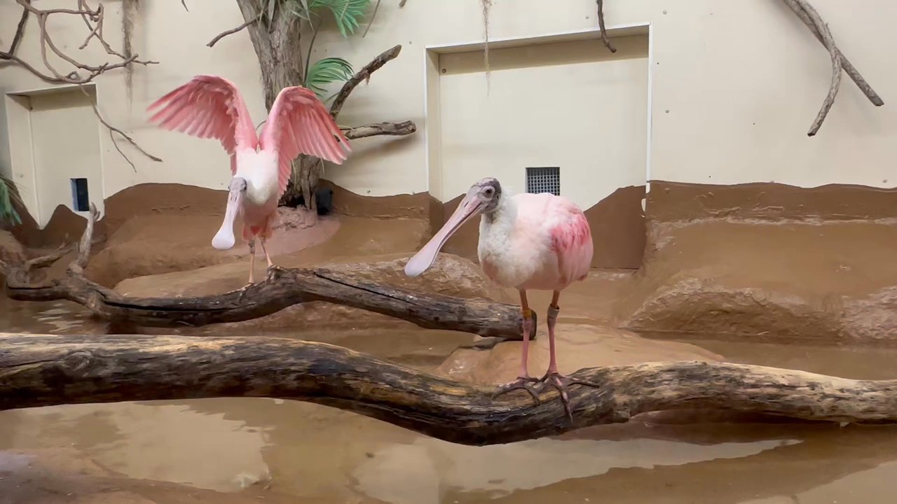 ZooAmerica - Zoos Near Me - Hershey, Pennsylvania