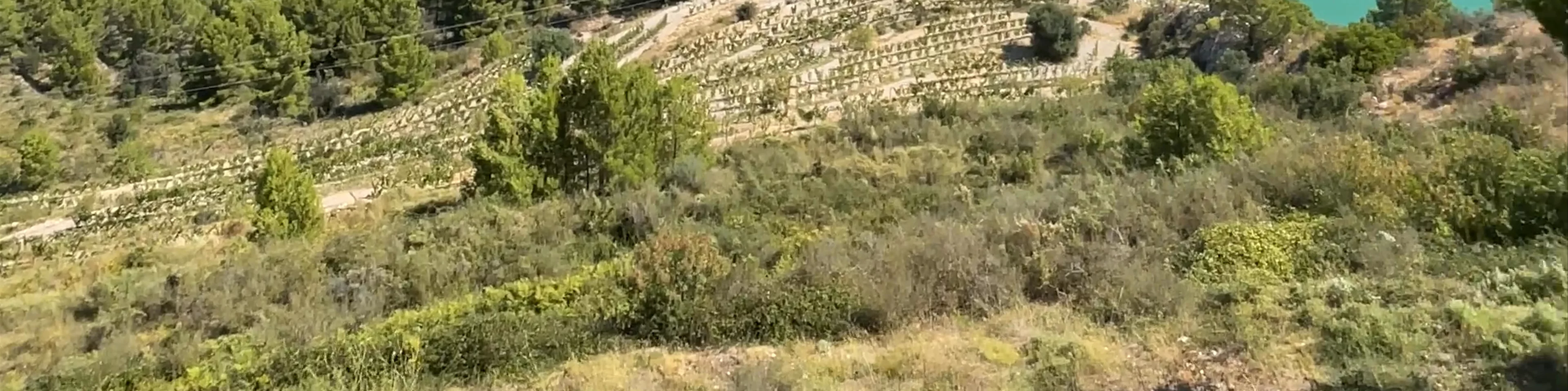 Embassament de Guadalest