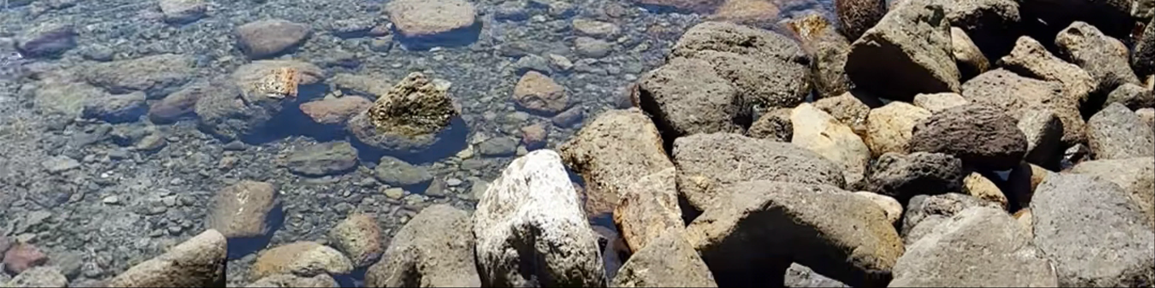 Charco Las Graditas
