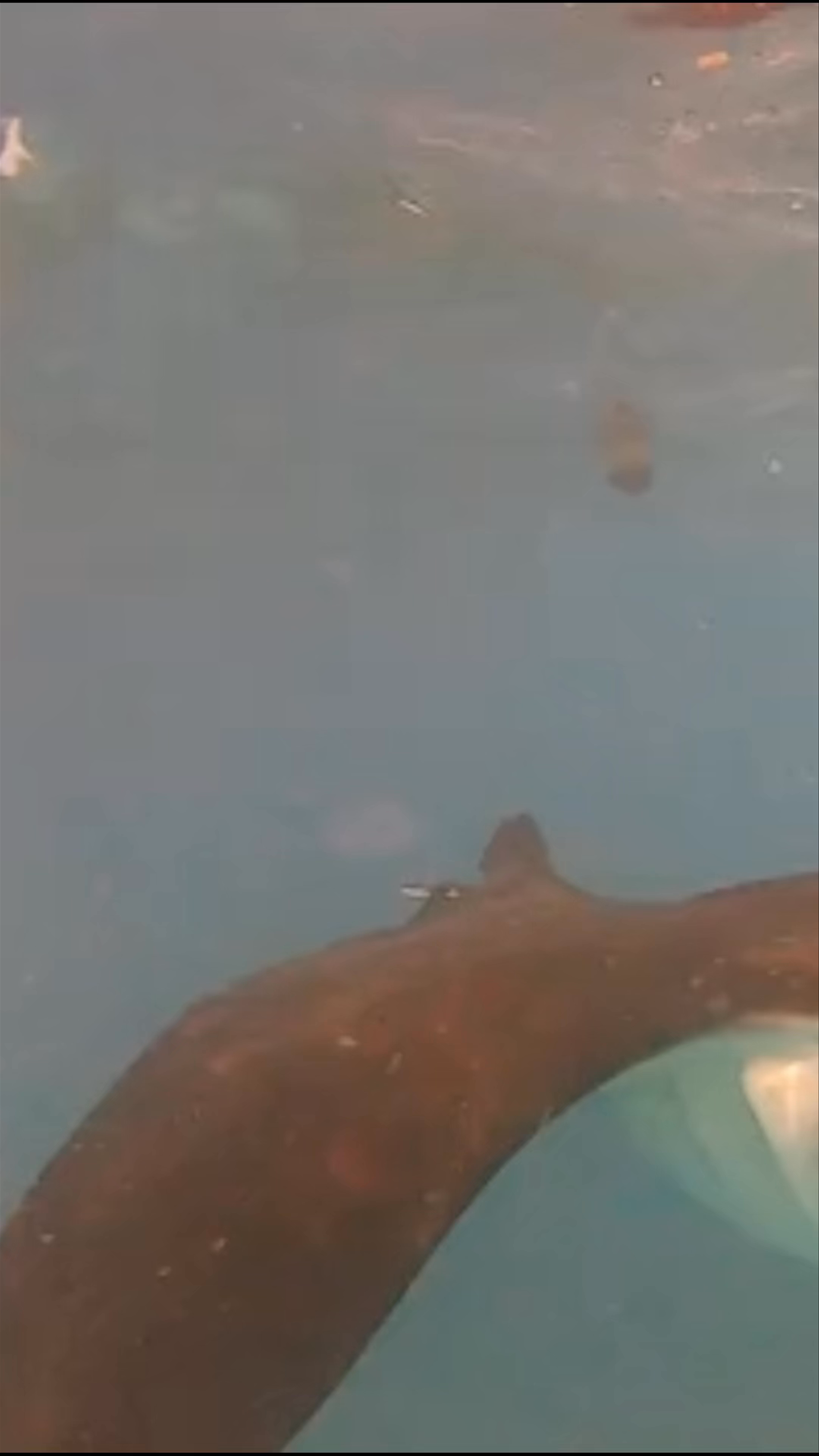 Manta Point Snorkeling Nusa Penida