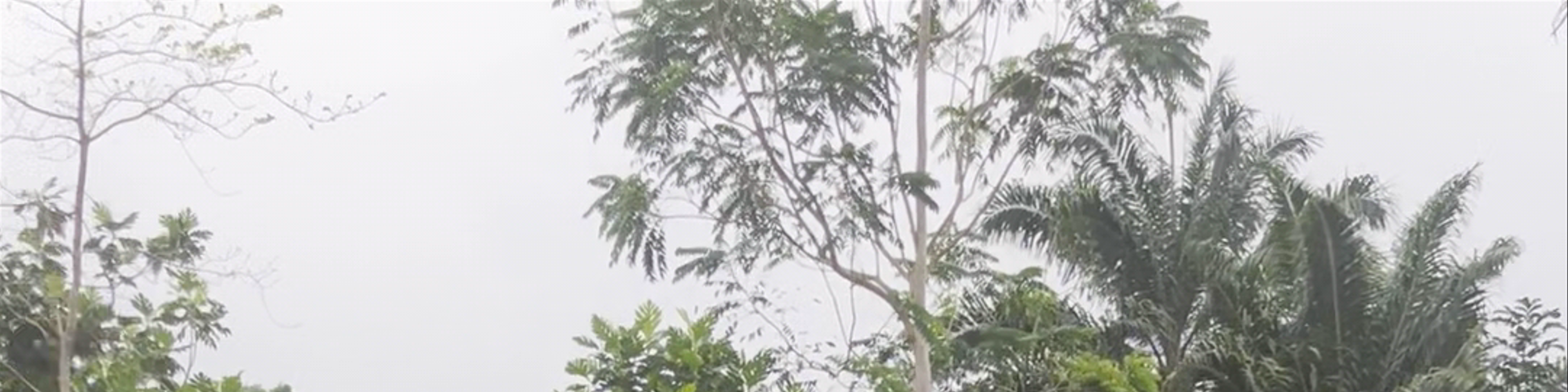 São Tomé and Príncipe