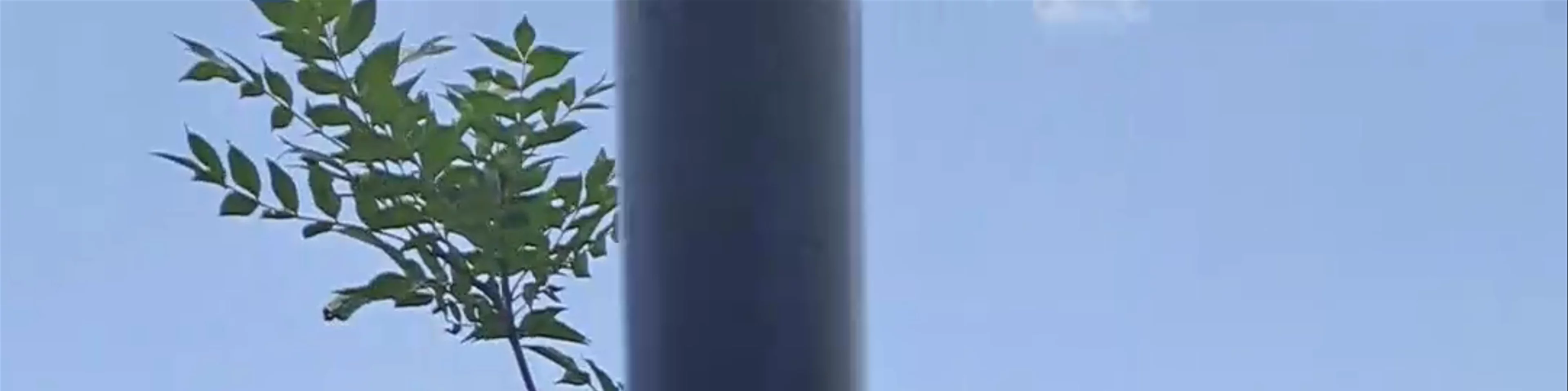 Harsnadzor Resort