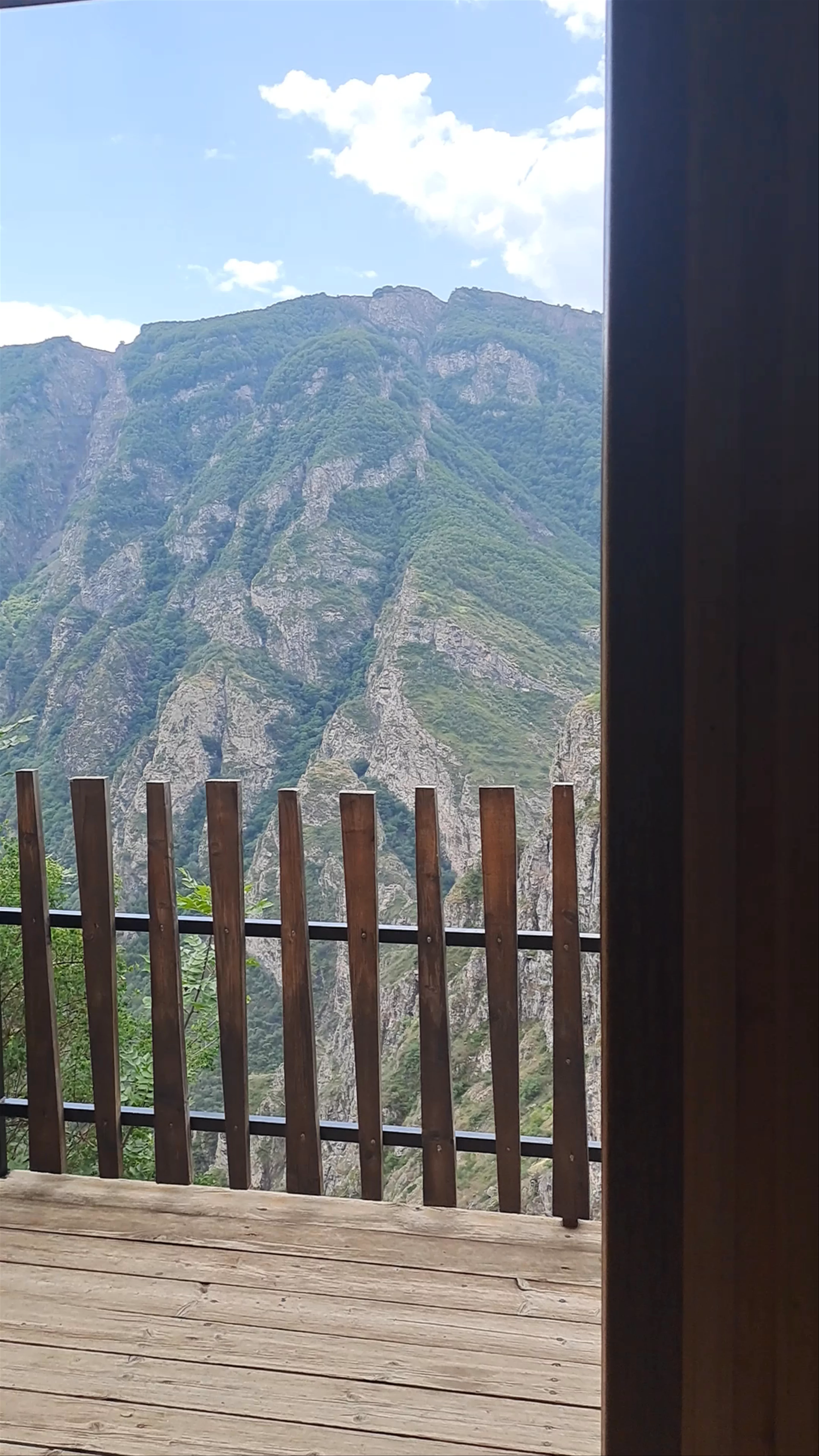 Forest Destinations in Monaco