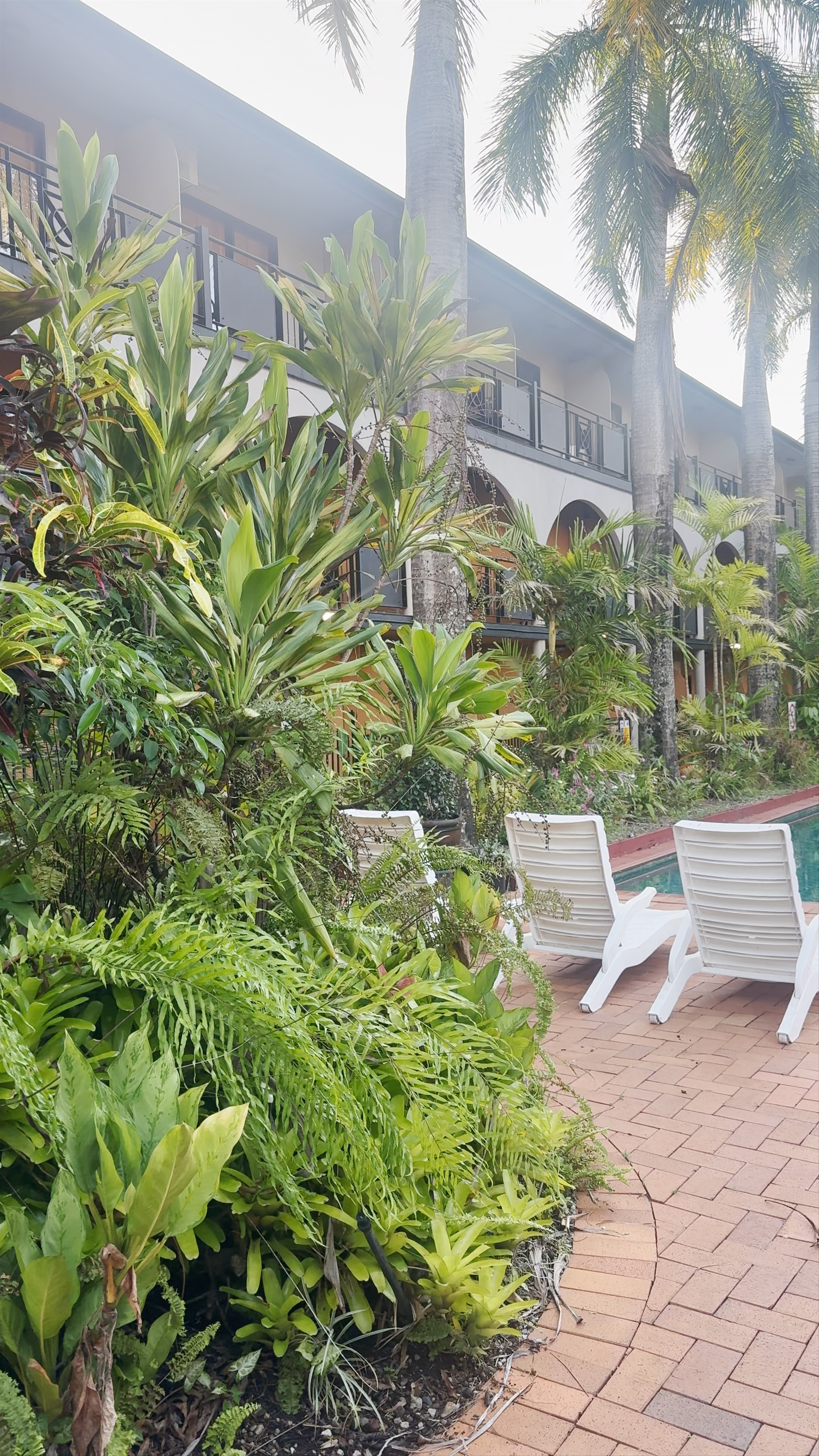 Palm Royale Cairns: Tropical Poolside Paradise in Manunda, Queensland