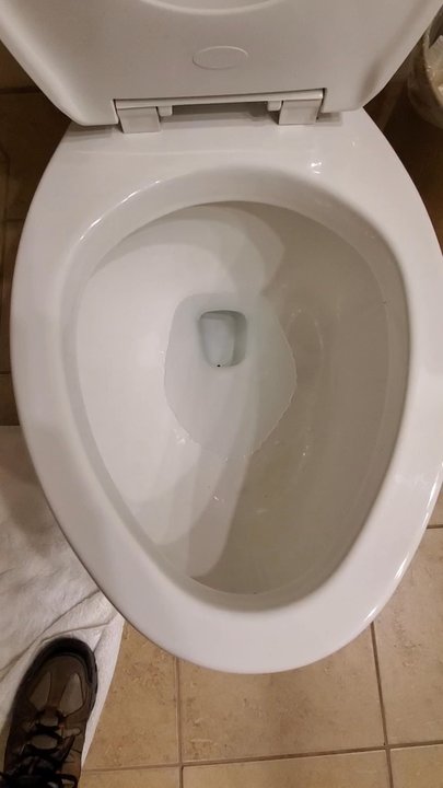 Hampton Inn Seaford - Very powerful flush - Hotels Near Me - Seaford, Delaware