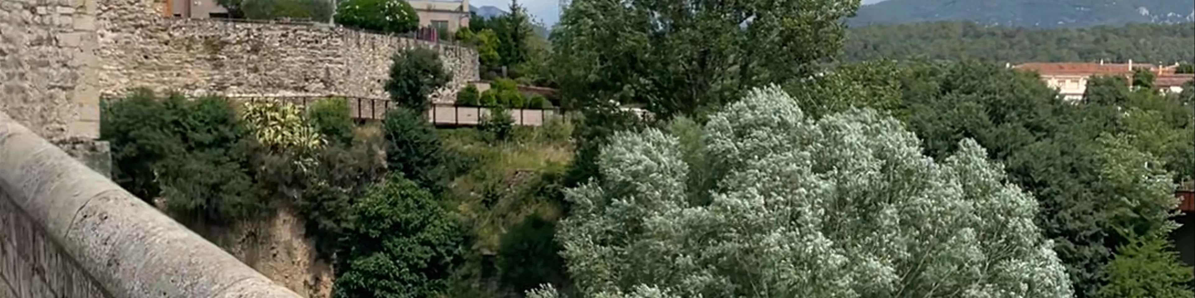 Pont de Besalú