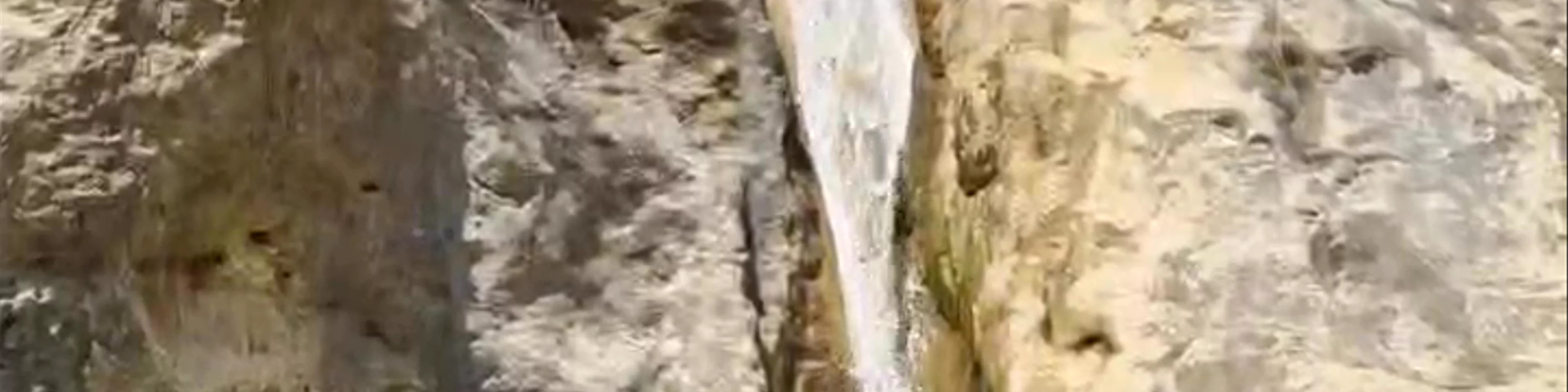 Baños del Somogil