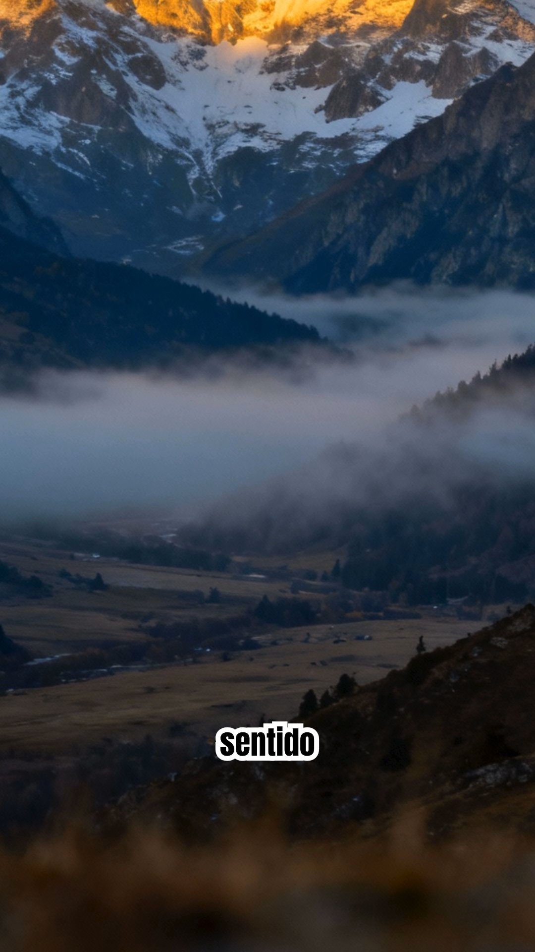 👉 No te rindas… esto también te está formando 💛🔥