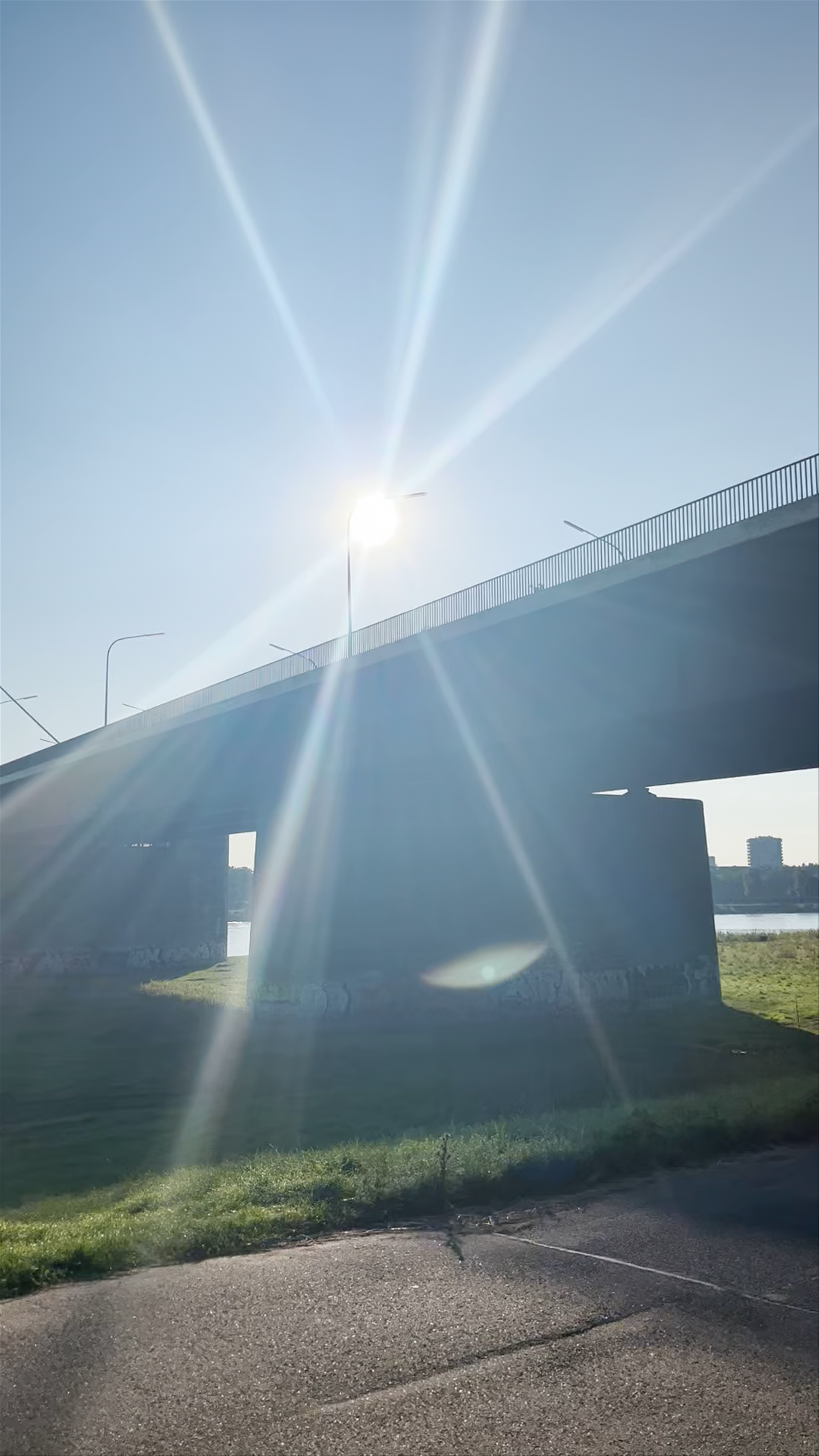Sunlit Views and Riverside Serenity at Rheinkniebrücke, Düsseldorf