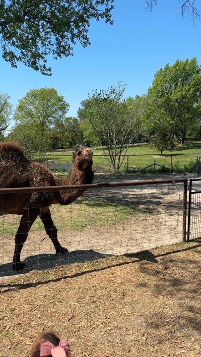 HUDDIN HOMESTEAD FUN FARM - Updated June 2026 - 65 Photos & 14 Reviews ...