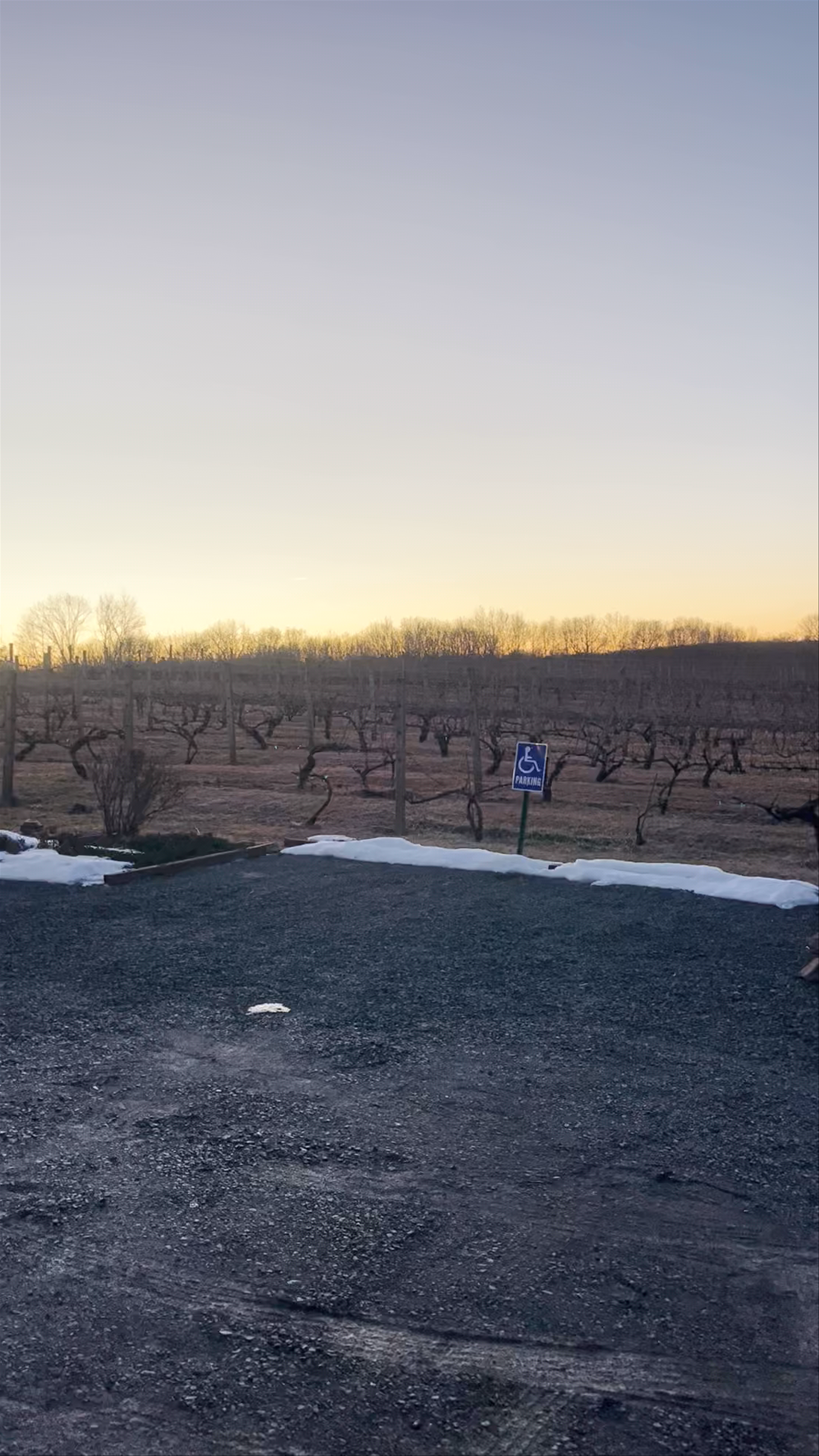 Paradise Hills Vineyard & Winery