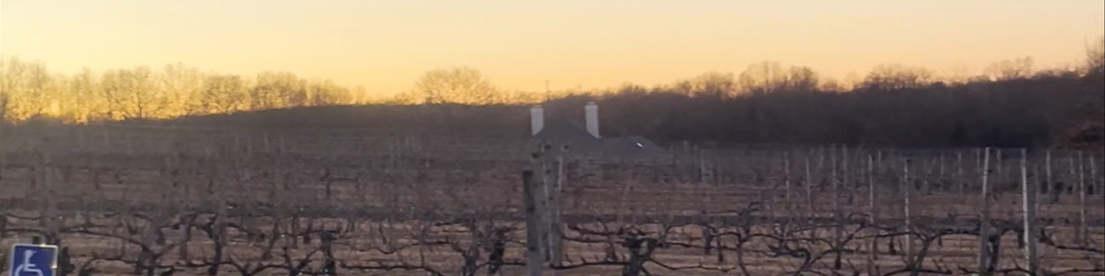 Paradise Hills Vineyard & Winery