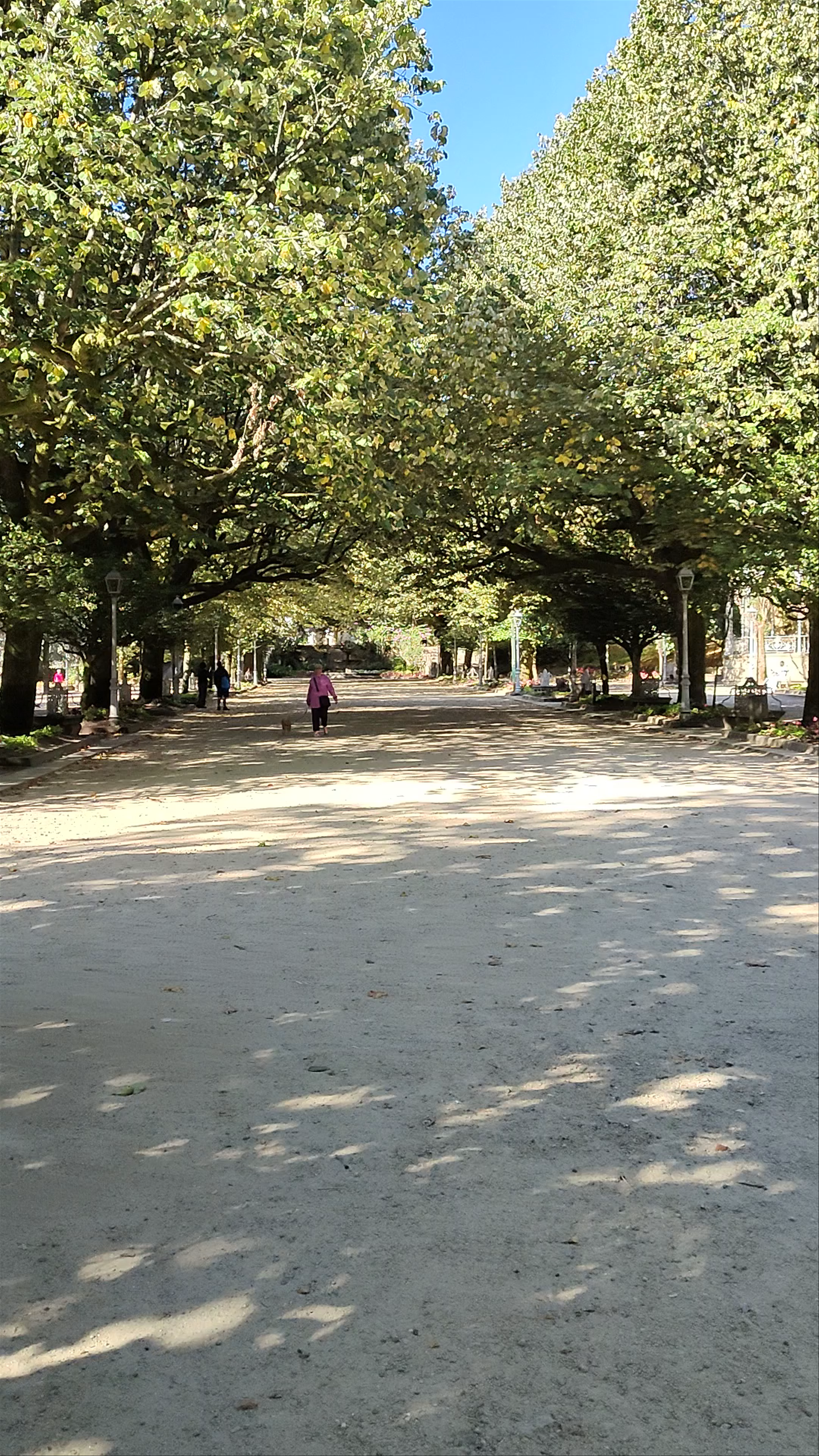 Strolling Through Parque Alameda in Santiago de Compostela