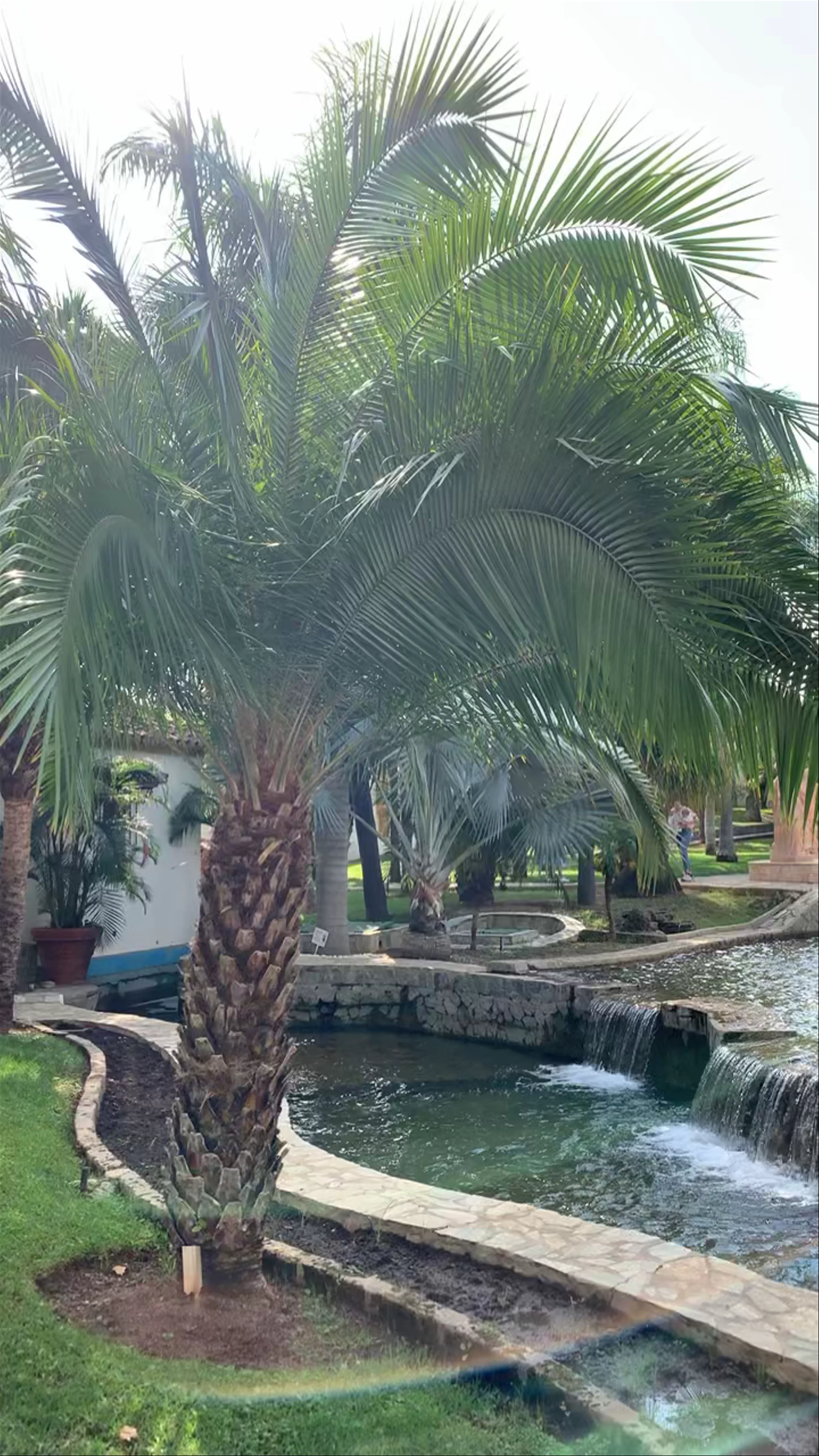 Molino de Inca