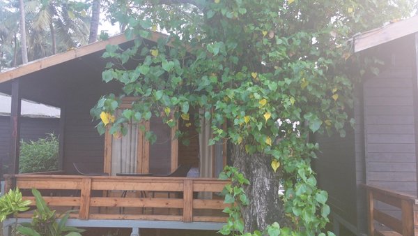Photo of Our little abode for