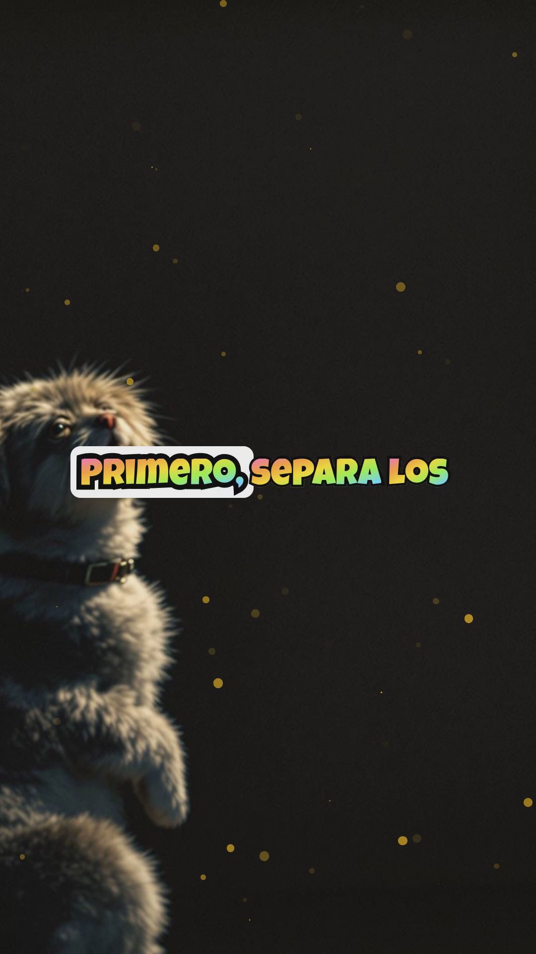 ¿Tu perro se come la comida del gato? Aquí la solución