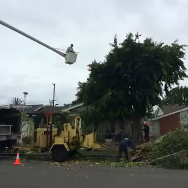 Eller's Tree Service - Tree Services Near Me - Santa Ana, California
