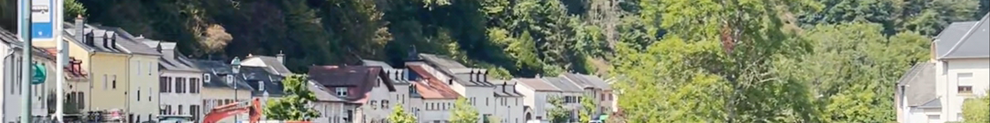 Tours & experiences in Vianden