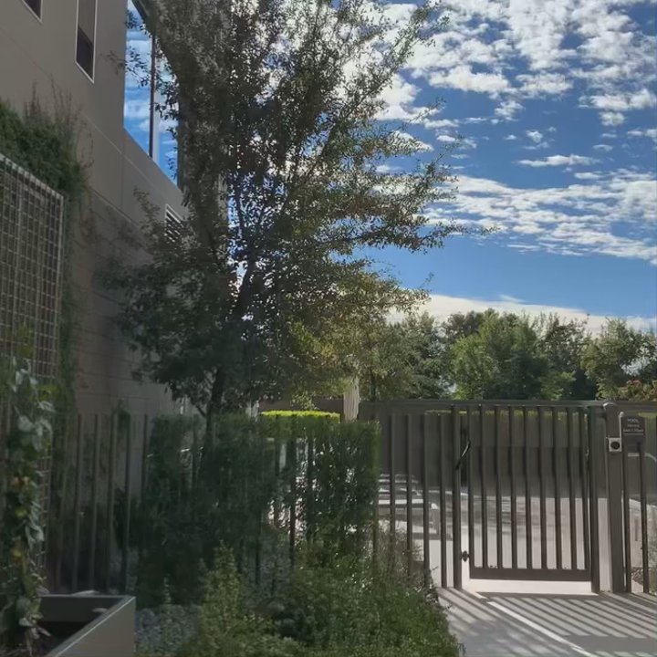 Video thumbnail 3 more videos