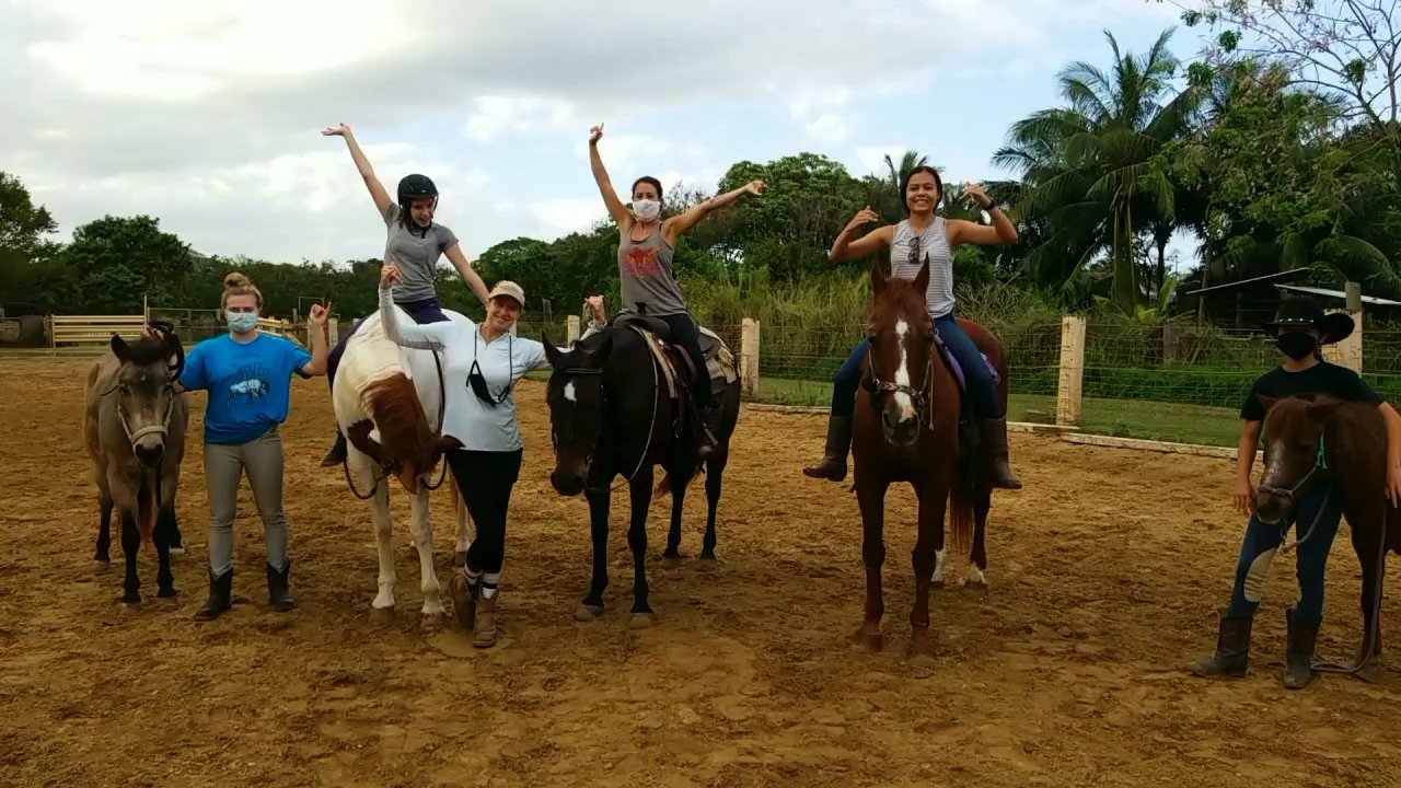 Aloha Riding Lessons - Horseback Riding Near Me - Honolulu, Hawaii
