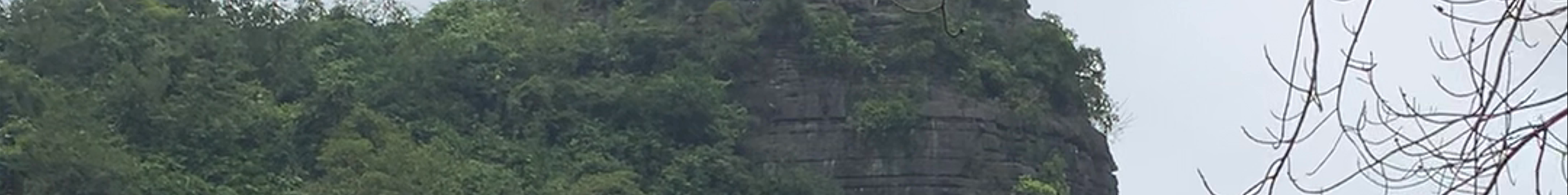 Tours & experiences in Nam Định