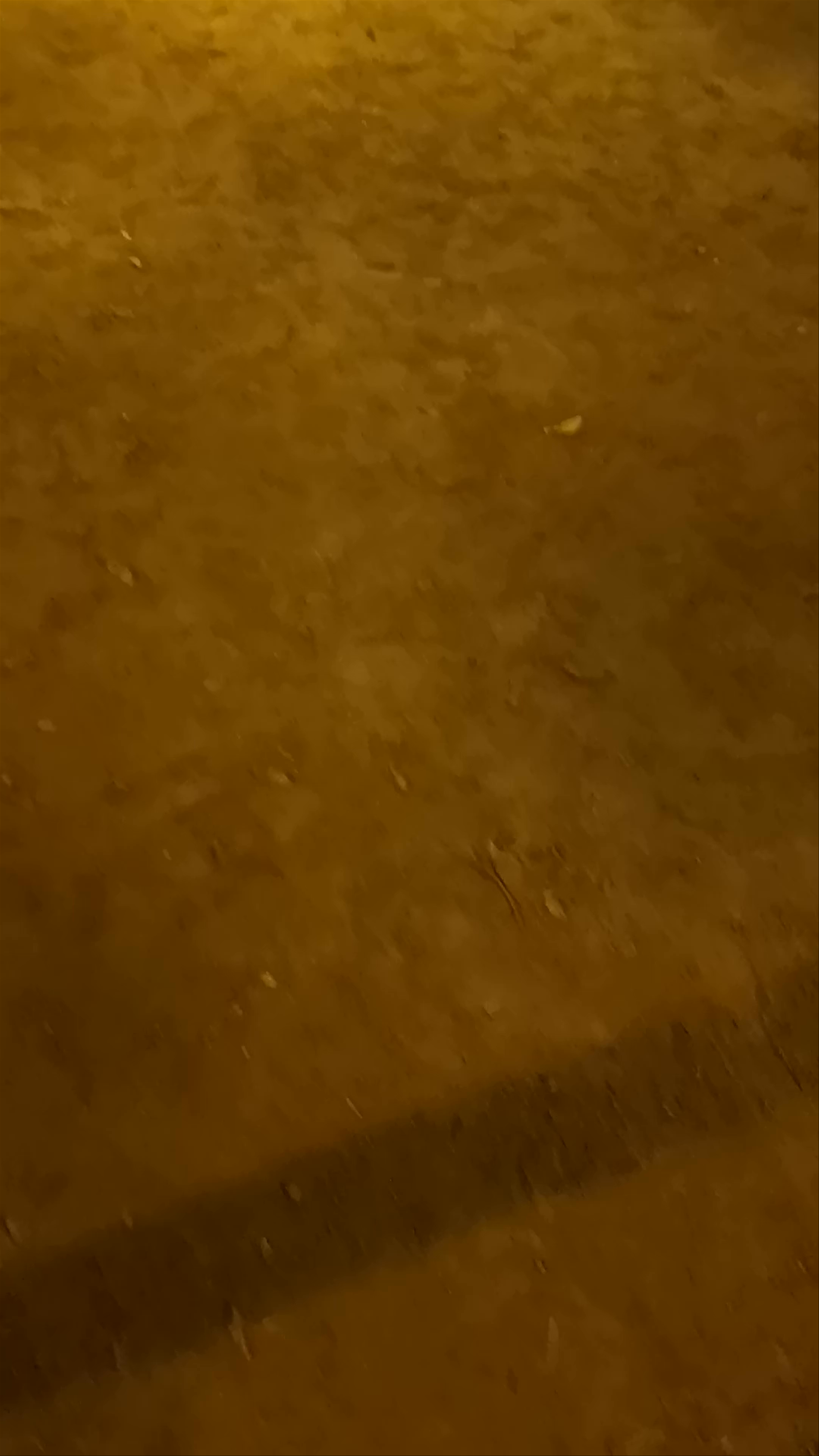 Nighttime Magic at Plaza de la Sagrada Familia, Barcelona