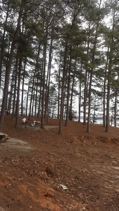 Lake Lanier Lower Pool Park - Peaceful and serene place this evening - Hiking Near Me - Cumming, Georgia