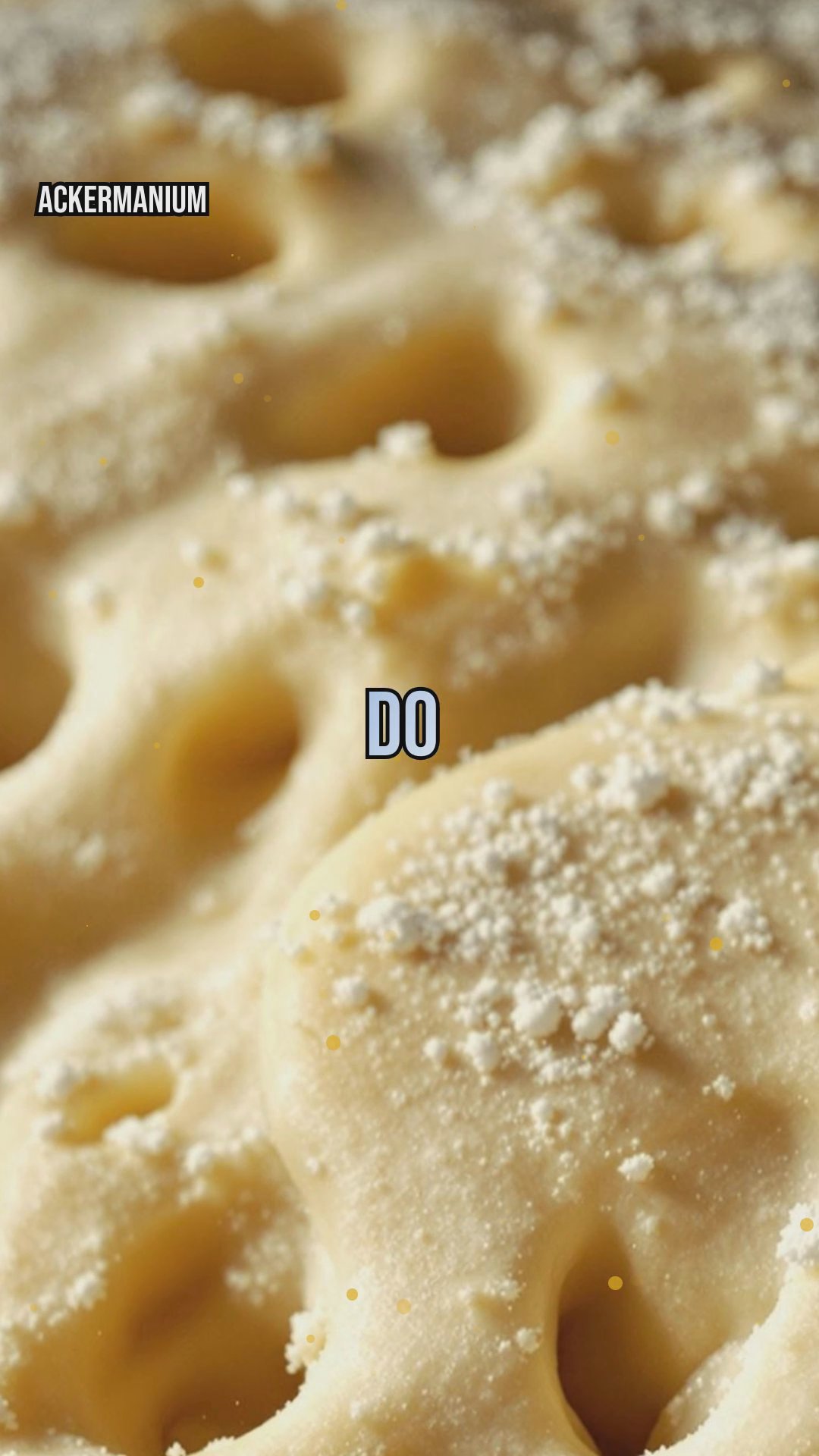 The Science of Fermentation: From Bread to Beer