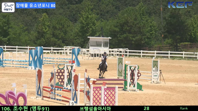 조수현2 (앵두 (뱅듸)) — 제42회 대통령기 전국승마대회 (생활체육, 유소년) · 장애물 80cm