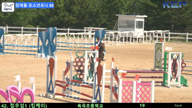 정우성1 (황금제왕 (황금이)) — 제42회 대통령기 전국승마대회 (생활체육, 유소년) · 장애물 80cm