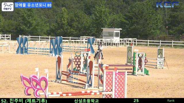 진주비 (제트기류) — 제42회 대통령기 전국승마대회 (생활체육, 유소년) · 장애물 80cm