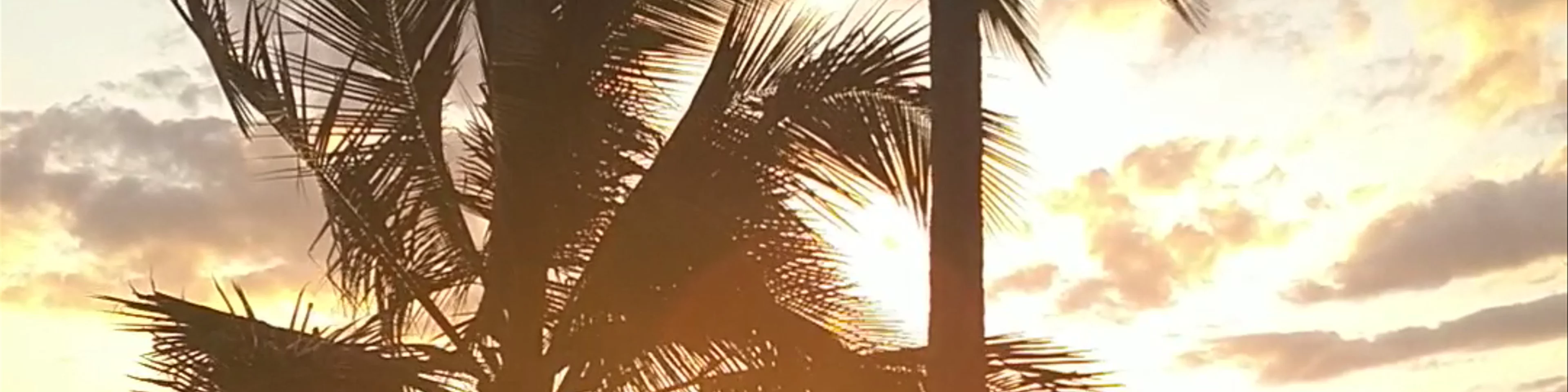 Surfers Paradise