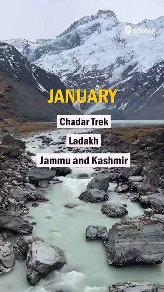 Photo of Which one have you d