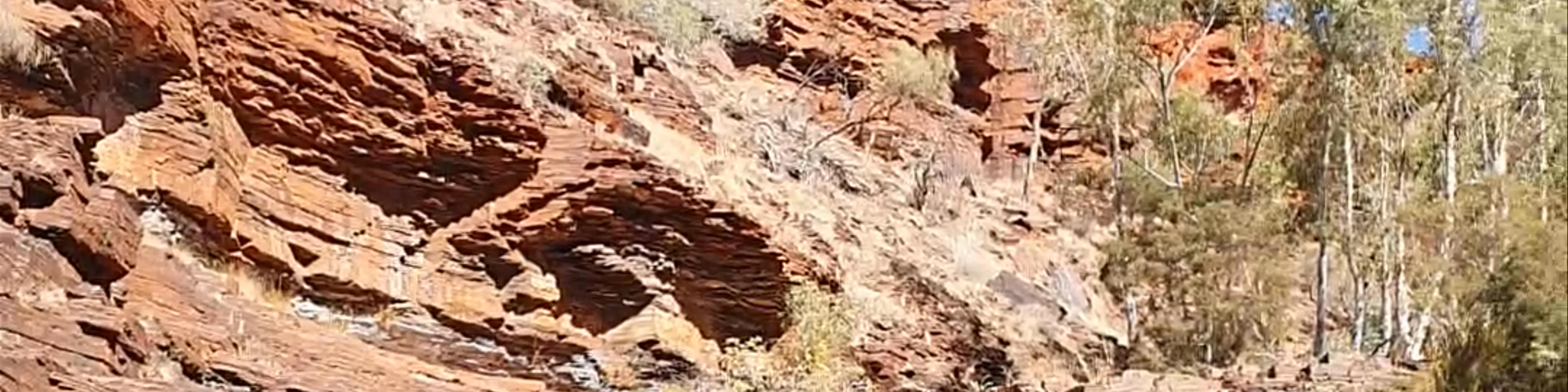 Dales Gorge