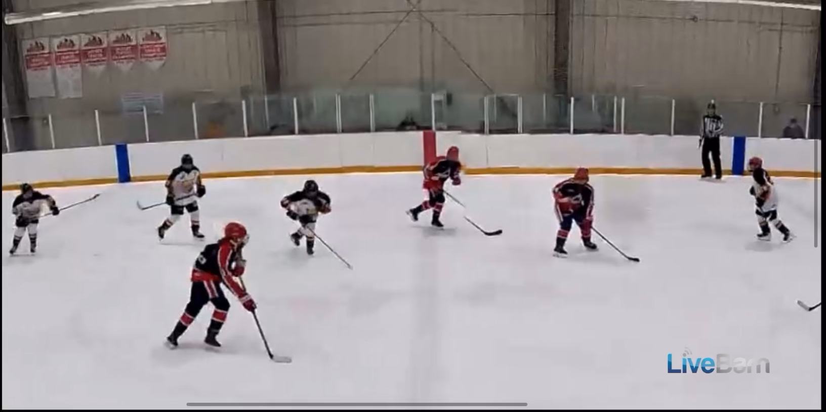 Fyona Meagher #11: Dynamic Drive to the Net | Calgary Glaciers 16U