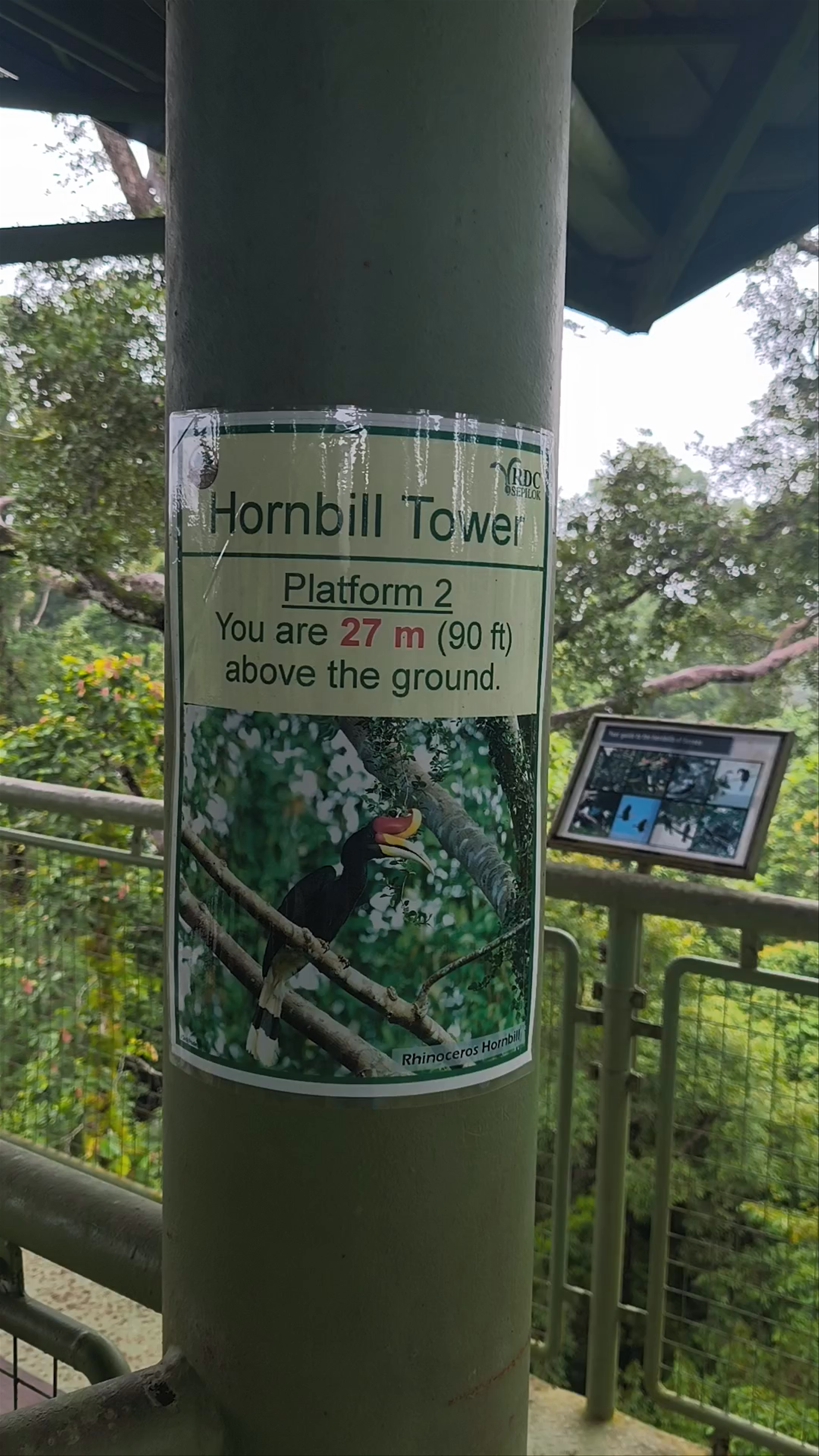 Hornbill Tower RDC: Immersive Rainforest Canopy Experience in Sepilok, Sandakan