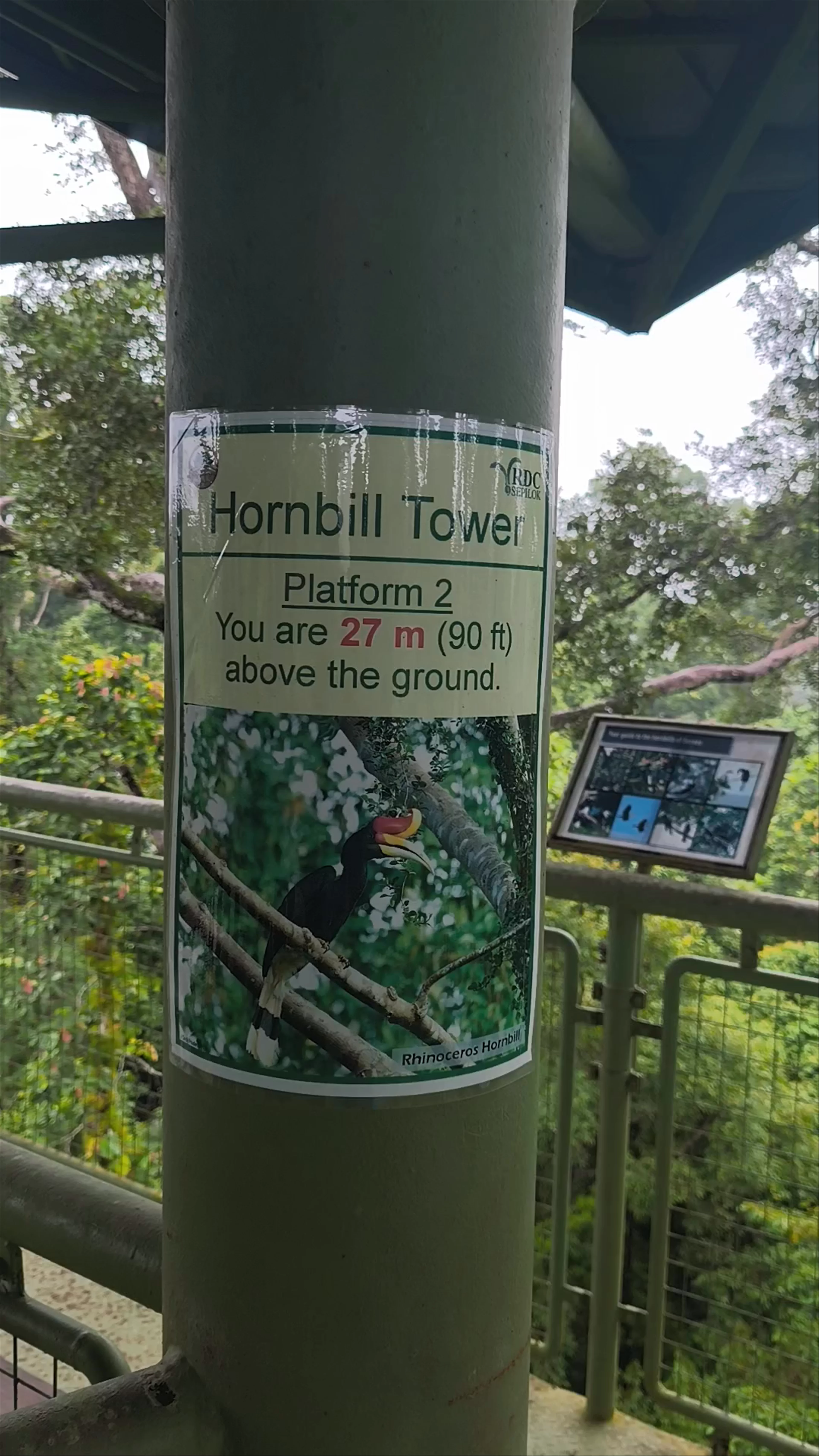 Hornbill Tower RDC