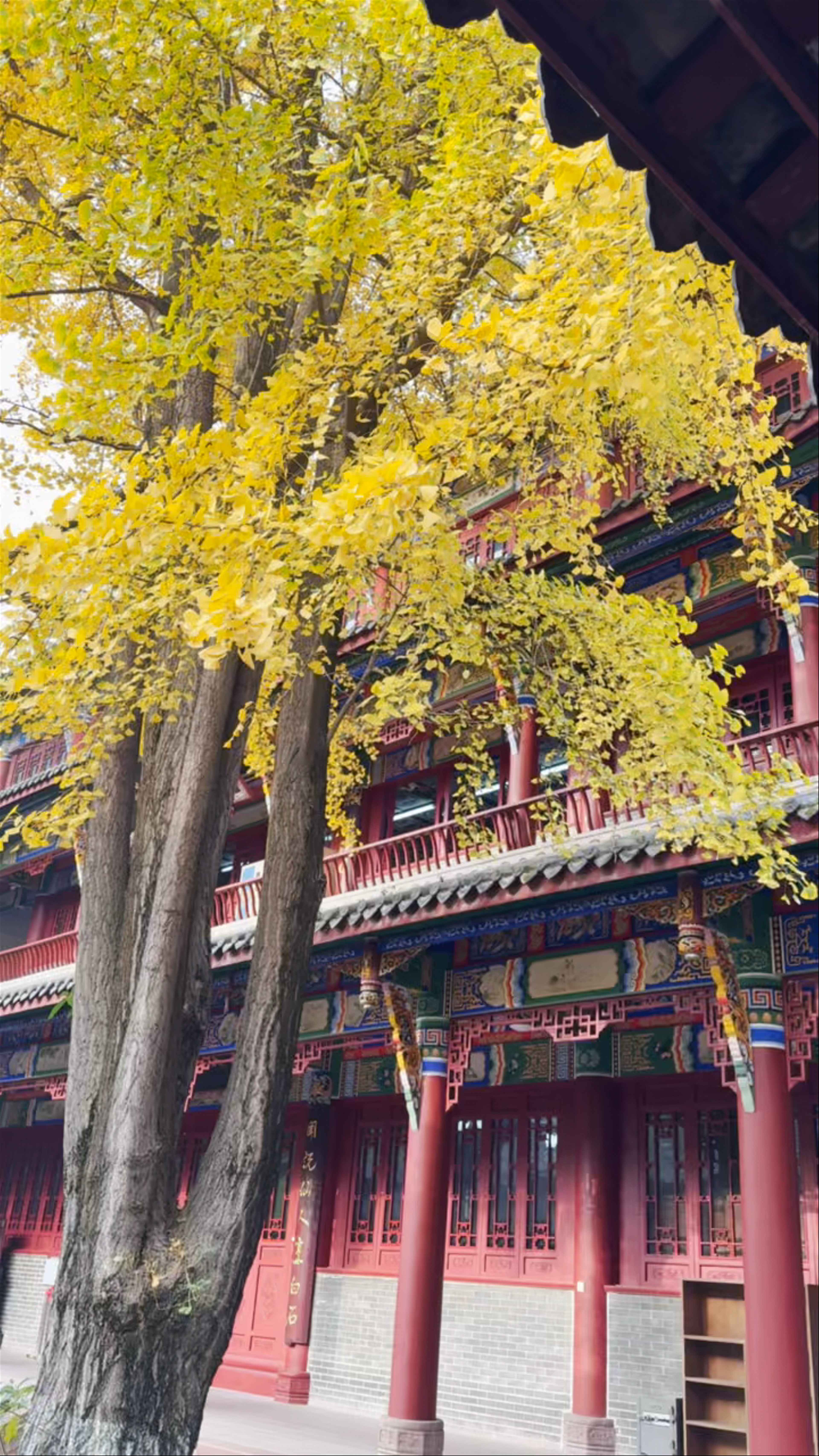 Qingyang Palace （West Gate）