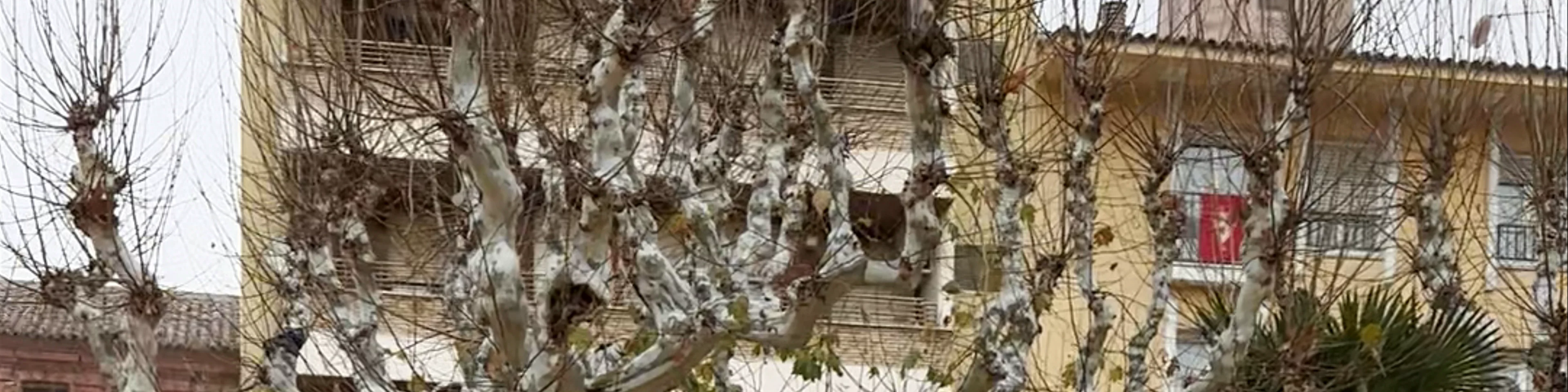 Plaza del Fuerte Garden
