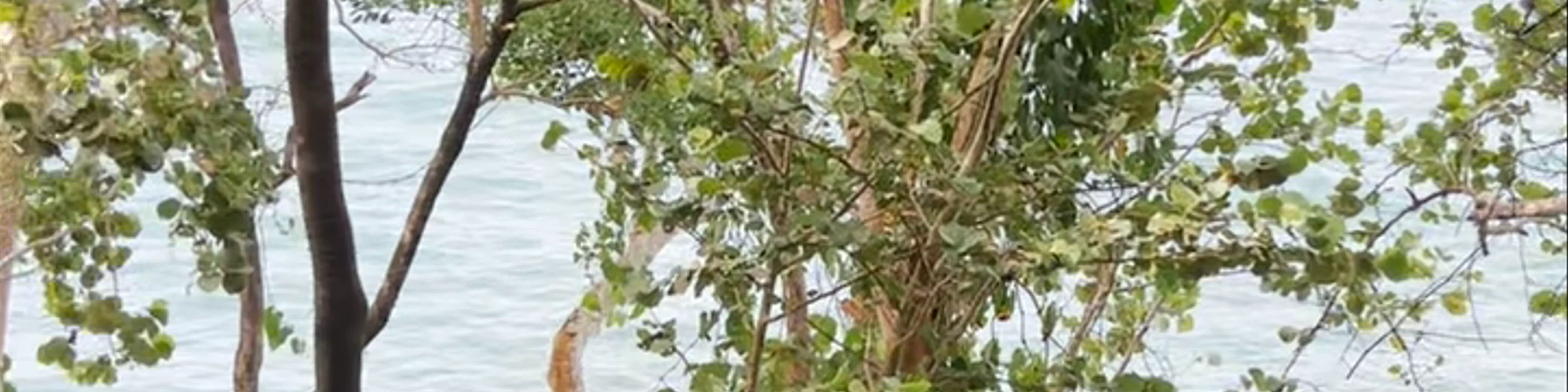 Mirador Punta Uva
