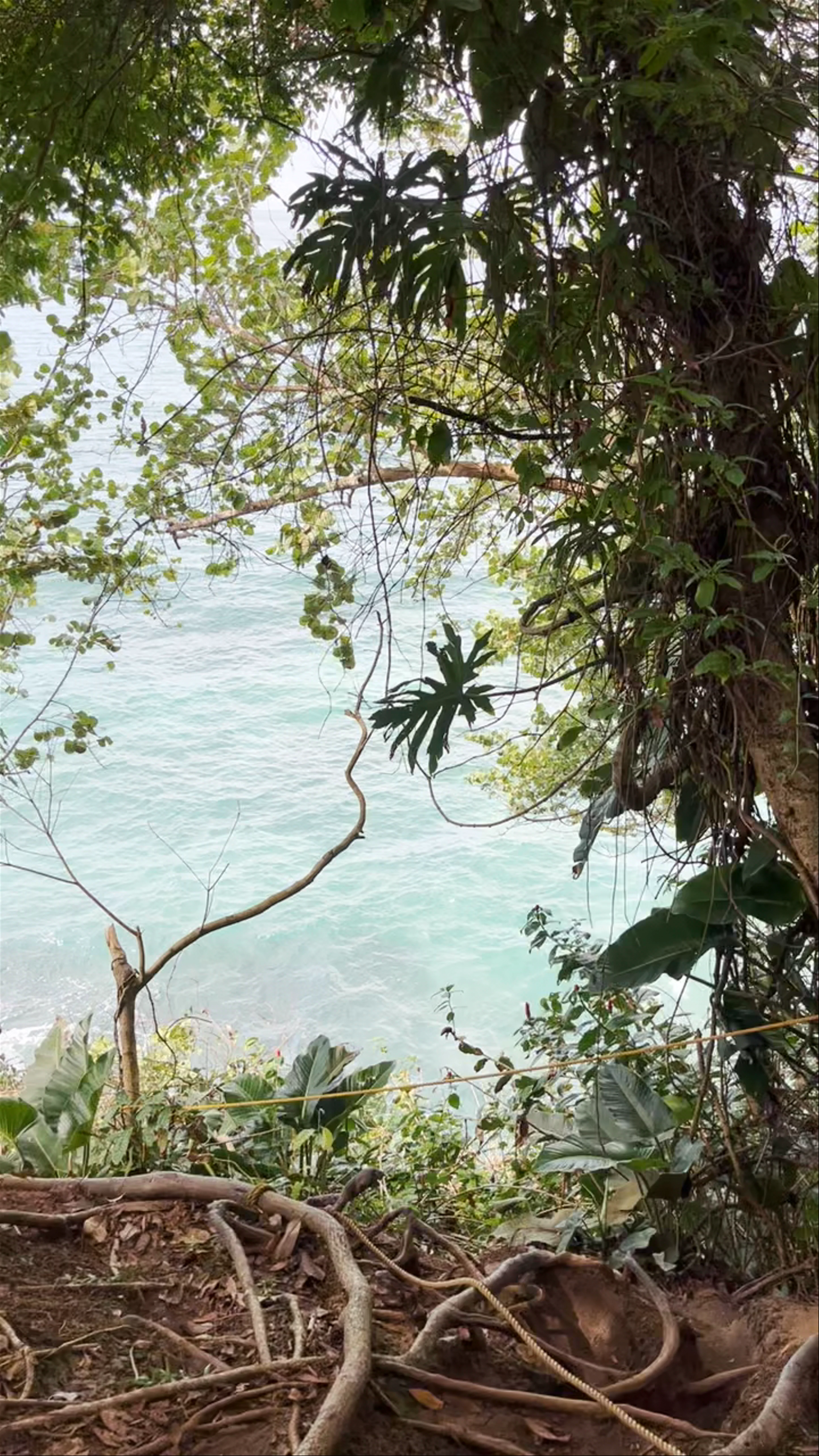 Mirador Punta Uva